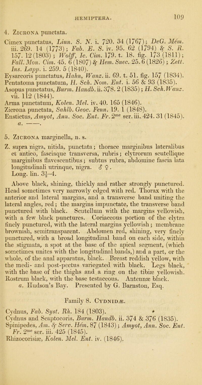 4. ZicRONA punctata. Cimex punctatus, Linn. S. N. i. 720. 34 (1767); DeG. WIem. iii. 269. 14 (1773); Fab. E. S. iv. 95. 62 (1794) 8f S. R. 1.57. 12(1803) ; Wolff, Ic. dm. 179. t. 18. fig. 173 (1811); Fall. Mon. dm. 45. 6 (1807) 8f Hem. Suec. 25.6 (1826); Zett. Ins. Lapp. i. 259. 5 (1840). Eysarcoris punctatus, Hahn, Wanz. ii. 69. t. 51. fig. 157 (1834). Pentatoma punctatum, H. Sch. Nom. Ent. i. 56 & 93 (1835). Asopus punctatus, Burm. Handb. ii. 378. 2 (1835); H. Sch. Wanz. vii. 112 (1844). Arma punctatum, Kolen. Mel. iv. 40. 165 (1846). Zicrona punctata. Sahib. Geoc. Fenn. 19. 1 (1848). Enstictus, Amyot, Ann. Soc. Ent. Fr.2'-'^^ ser. iii., 424. 31 (1845). a. . 5. Zicrona marginella, n. s. Z. supra nigra, nitida, punctata; thorace marginibus lateralibus et antico, fasciaque transversa, rubris; elytrorum scutellique marginibus flavescentibus; subtus rubra, abdqmine fascia lata longitudinali utrinque, nigra. S 9 . Long. lin. 3|-4. Above black, shining, thickly and rather strongly punctured. Head sometimes very narrowly edged with red. Thorax with the anterior and lateral margins, and a transverse band uniting the lateral angles, red; the margins impunctate, the transverse band punctured with black. Scutellum with the margins yellowish, with a few black punctures. Coriaceous portion of the elytra finely punctured, with the lateral margins yellowish ; membrane brownish, semitransparent. Abdomen red, shining, very finely ])imctured, with a broad longitudinal band on each side, within the stigmata, a spot at the base of the apical segment, (which sometimes unites with the longitudinal bands,) and a part, or the whole, of the anal apparatus, black. Breast reddish yellow, with the medi“ and post-pectus variegated with black. Legs black, with the base of the thighs and a ring on the tibiae yellowish. Rostrum black, with the base testaceous. Antennae black. a. Hudson’s Bay. Presented by G. Barnston, Esq. Family 8. Cydnid^e. Cydnus, Fab. Syst. Rh. 184 (1803). * Cydnus and Scaptocoris, Burm. Handb. ii. 374 & 376 (1835). Spinipedes, Am. Serv. Hem. 87 (1843); Amyot, Ann. Soc. Ent. Fr. 2“® ser. iii. 425 (1845). Rhizocorisiae, Kolen. Mel. Ent. iv. (1846).