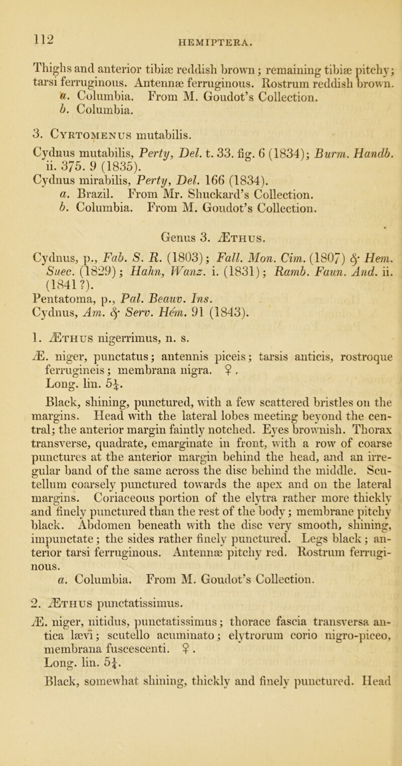 Thighs and anterior tibiae reddish brown; remaining tibiae pitchy; tarsi ferruginous. Antennae ferruginous. Rostrum reddish brown. a. Columbia. From M. Goudot’s Collection. b. Columbia. 3. Cyrtomenus mutabilis. Cydnus mutabilis, Ferty, Del. t. 33. fig. 6 (1834); Burm. Handb. ii. 375. 9 (1835). Cydnus mirabilis, Ferty, Del. 166 (1834). a. Brazil. From Mr. Shuckard’s Collection. b. Columbia. From M. Goudot’s Collection. Genus 3. ^Ethus. Cydnus, p.. Fab. S. R. (1803); Fall. Mon. dm. (180/) §' Hem. Suec. (1829); Hahn, Wanz. i. (1831); Ramb. Faun. And. ii. (1841?). Pentatoma, p., Fal. Beauv. Ins. Cydnus, Am. Serv. Hem. 91 (1843). 1. tEthus nigemmus, n. s. jE. niger, punctatus; antennis piceis; tarsis anticis, rostroque ferrugineis; membrana nigra. ? , Long. lin. 5^. Black, shining, punctured, with a few scattered bristles on the margins. Head with the lateral lobes meeting beyond the cen- tral; the anterior margin faintly notched. Eyes bro\^Tiish. Thorax transverse, quadrate, emarginate in front, with a row of coarse punctures at the anterior margin behind the head, and an irre- gular band of the same across the disc behind the middle. Scu- tellum coarsely punctured towards the apex and on the lateral margins. Coriaceous portion of the elytra rather more thickly and finely punctured than the rest of the body; membrane pitch}' black. Abdomen beneath with the disc very smooth, shining, impunctate; the sides rather finely punctured. Legs black; an- terior tarsi ferruginous. Antennae pitchy red. Rostrum fenaigi- nous. a. Columbia. From M. Goudot’s Collection. 2. iETHUS punctatissimus. JE. niger, nitidus, punctatissimus; thorace fascia transversa aii- tica laev'i; scutello acuminato; elytrorum corio nigro-piceo, membrana fuscescenti. ? . Long. lin. 5L Black, somewhat shining, thickly and finely punctured. Head