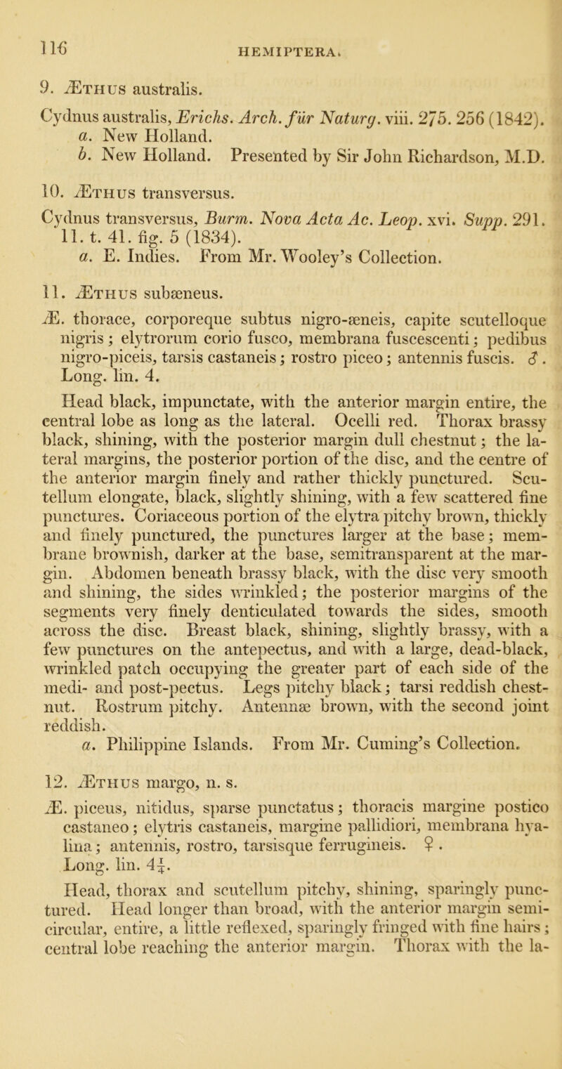 IHJ 9. ^Ethus australis. Cydnus australis, Erichs. Arch, fur Naturg. viii. 2/5. 256 (1842). a. New Holland. b. New Holland. Presented by Sir John Richardson, M.D. 10. ^THus transversus. Cydnus transversus, Burm. Nova Acta Ac. Leop. xvi. Supp. 291. 11. t. 41. fig. 5 (1834). a. E. Indies. From Mr. Wooley’s Collection. 11. iETHUS subseneus. dE. thorace, corporeque subtus nigro-aeneis, capite scutelloque nigris ; elytrorum corio fusco, membrana fuscescenti; pedibus nigro-piceis, tarsis castaneis; rostro piceo; antennis fuscis. . Long. lin. 4. Head black, irapunctate, with the anterior margin entire, the central lobe as long as the lateral. Ocelli red. Thorax brassy black, shining, with the posterior margin dull chestnut; the la- teral margins, the posterior portion of the disc, and the centre of the anterior margin finely and rather thickly punctured. Scu- tellum elongate, black, slightly shining, with a few scattered fine punctiu’es. Coriaceous portion of the elytra pitchy brown, thickly and finely punctured, the punctures larger at the base; mem- brane brownish, darker at the base, semitransparent at the mar- gin. Abdomen beneath brassy black, with the disc very smooth and shining, the sides vTinkled; the posterior margins of the segments very finely denticulated towards the sides, smooth across the disc. Breast black, shining, slightly brassy, with a few punctures on the antepectus, and with a large, dead-black, wrinkled patch occupying the greater part of each side of the medi- and post-pectus. Legs j^itchy black; tarsi reddish chest- nut. Rostrum pitchy. Antennae brown, with the second joint reddish. a. Philippine Islands. From Mr. Cuming’s Collection. 12. iETHUS margo, n. s. /E. piceus, nitidus, sparse punctatus; thoracis margine postico castaneo; elytris castaneis, margine pallidiori, membrana hya- lina; antennis, rostro, tarsisque ferrugineis. ? . Long. lin. 4^. Head, thorax and scutellum pitchy, shining, sparingly punc- tured. Head longer than broad, with the anterior margin semi- circular, entire, a little reflexed, sparingly fringed with fine hairs; central lobe reaching the anterior margin. Thorax with the la-