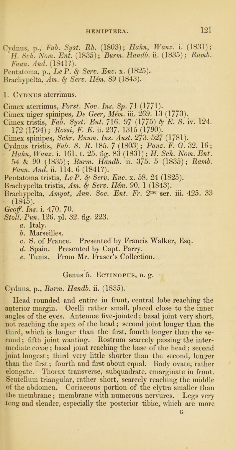 Cvdniis, p., Fah. Syst. Rh. (1803); Hahn, Wanz. i. (1831); H. Sch. Norn. Ent. (1835); Burm. Handb. ii. (1835); Ramb. Faun. And. (1841?). Pentatoma, p., LeP. Sf Serv. Enc. x. (1825). Brachypelta, Am. 8f Serv. Hem. 89 (1843). 1. Cydnus aterrimus. Cimex aterrimus, Forst. Nov. Ins. Sp. 71 (1771). Cimex niger spiuipes, De Geer, Mem. iii. 269, 13 (1773). Cimex tristis. Fab. Syst. Ent. 716. 97 (1775) 4* 3'. iv. 124. 172 (1794); Rossi, F. E. ii. 237. 1315^790). Cimex spinipes, Schr. Enum. Ins. Aust. 273. 527 (1781). Cydnus tristis. Fab. S. R. 185. 7 (1803); Panz. F. G. 32. 16; Hahn, Wanz. i. 161. t. 25. fig. 83 (1831); H. Sch. Nom. Ent. 54 & 90 (1835); Burm. Handb. ii. 375. 5 (1835); Ramb. Faun. And. ii. 114. 6 (1841?). Pentatoma tristis, LeP. ^ Serv. Enc. x. 58. 24 (1825). Braehypelta tristis. Am. Sf Serv. Hem. 90. 1 (1843). Brachypelta, Amyot, Ann. Soc. Ent. Fr. 2“^ ser. iii. 425. 33 (1845). Geoff. Ins. i. 470. 70, Stoll. Pun. 126. pi. 32. fig. 223. a. Italy. b. Marseilles, c. S. of France. Presented by Francis Walker, Esq. d. Spain. Presented by Capt. Parry. €. Tunis. From Mr. Fraser’s Collection. Genus 5. Ectinopus, n. g. Cydnus, p., Burm. Handb. ii. (1835). Head rounded and entire in front, central lobe reaching the anterior margin. Ocelli rather small, placed close to the inner angles of the eyes. Antennae five-jointed; basal joint very short, not reaching the apex of the head; second joint longer than the third, which is longer than the first, fourth longer than the se- cond ; fifth joint wanting. Rostrum scarcely passing the inter- mediate coxae; basal joint reaching the base of the head; second joint longest; third very little shorter than the second, longer than the first; fourth and first about equal. Body ovate, rather elongate. Thorax transverse, subquadrate, emarginate in front. Scutellum triangular, rather short, scarcely reaching the middle of the abdomen. Coriaceous portion of the elytra smaller than the membrane; membrane with numerous nervures. Legs very long and slender, especially the posterior tibiae, which are more G