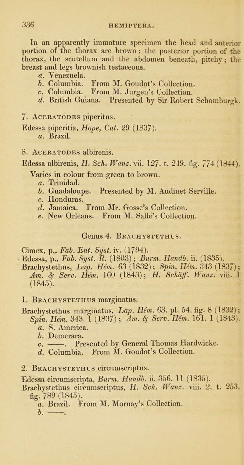 In an apparently immature specimen the head and anterior portion of the thorax are brown; the posterior portion of the thorax, the scutellum and the abdomen beneath, pitchy; the breast and legs brownish testaceous. a. Venezuela. h. Columbia. From M. Goudot’s Collection. c. Columbia. From M. Jurgen’s Collection. d. British Guiana. Presented by Sir Robert Schomburgk. 7. Aceratodes piperitus. Edessa piperitia, Hope, Cat. 29 (183/). a. Brazil. 8. Aceratodes albirenis. Edessa albirenis, H. Sch. Wanz. vii. 127. t. 249. fig. 774 (1844). Varies in colour from green to brown. a. Trinidad. b. Guadaloupe. Presented by M. Audinet Serville. c. Honduras. d. Jamaica. From Mr. Gosse’s Collection. e. New Orleans. From M. Salle’s Collection. Genus 4. Brachystethus. Cimex, p.. Fab. Ent. Syst.iv. (1794). Edessa, p.. Fab. Syst. R. (1803); Burm. Handb. ii. (1835). Brachystethus, Lap. Hem,. 63 (1832); Hm. 343 (1837); Am. ^ Serv. H6n. 160 (1843); H. Schaff. IVanz. viii. 1 (1845). 1. Brachystethus marginatus. Brachystethus marginatus, Lap. Hem. 63. pi. 54. fig. 8 (1832); Spin. Hem. 343. \ (1837); Am. Serv. Hem. 161. 1 (1843). a. S. America. b. Demerara. c. . Presented by General Thomas Hardwicke. d. Columbia. From M. Goudot’s Collection. 2. Brachystethus circumscriptus. Edessa circumscripta, Burm. Handb. ii. 356. 11 (1835). Brachystethus circumscriptus, H. Sch. Wanz. viii. 2. t. 253. fig. 789 (1845). a. Brazil. From M. Mornay’s Collection. b. .
