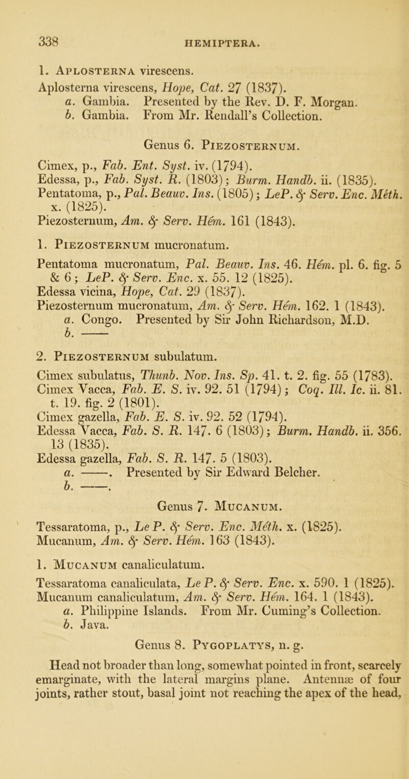 1. Aplosterna virescens. Aplosterna virescens, Hope, Cat. 27 (1837). a. Gambia. Presented by the Rev. D. F. Morgan. b. Gambia. From Mr. Rendall’s Collection. Genus 6. Piezosternum. Cimex, p.. Fab. Ent. Syst. iv. (1794). Edessa, p.. Fab. Syst. R. (1803); Burm. Handb. ii. (1835). Pentatoma, p., Pal. Beam. Ins. (1805); LeP. & Serv. Enc. Meth. X. (1825). Piezosternum, ^ Serv. Hem. 161 (1843). 1. Piezosternum mucronatum. Pentatoma mucronatum, Pal. Beam. Ins. 46. Hem. pi. 6. fig. 5 & 6 ; LeP. Sf Serv. Enc. x. 55. 12 (1825). Edessa vicina, Hope, Cat. 29 (1837). Piezosternum mucronatum. Am. Serv. Hem. 162. 1 (1843). a. Congo. Presented by Sir John Richardson, M.D. b. 2. Piezosternum subulatum. Cimex subulatus, TJiunb. Nov. Ins. Sp. 41. t. 2. fig. 55 (1783). Cimex Vacca, Fab. E. S. iv. 92. 51 (1794); Coq. III. Ic. ii. 81. t. 19. fig. 2 (1801). Cimex gazella. Fab. E. S. iv. 92. 52 (1794). Edessa Vacca, Fab. S. R. 147. 6 (1803); Burm. Handb. ii. 356. 13 (1835). Edessa gazella. Fab. S. R. 147. 5 (1803). a. . Presented by Sir Edward Belcher. b, . Genus 7. Mucanum. Tessaratoma, p., LeP. Sf’ Serv. Enc. Meth. x. (1825). Mucanum, Am. Serv. Hem. 163 (1843). 1. Mucanum canaliculatum. Tessaratoma canaliculata, LeP.Sf Serv. Enc. x. 590. 1 (1825). Mucanum canaliculatum, Am. Serv. Hem. 164. 1 (1843). a. Philippine Islands. From Mr. Cuming’s Collection. b. Java. Genus 8. Pygoplatys, n. g. Head not broader than long, somewhat pointed in front, scarcely emarginate, with the lateral margins plane. Antennae of four joints, rather stout, basal joint not reaching the apex of the head.