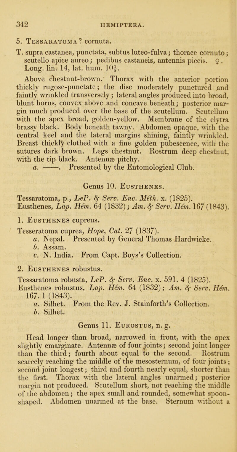 5. Tessaratoma? cornuta. T. supra castanea, punctata, subtus luteo-fulva; thorace comuto; scutello apice aureo; pedibus castaneis, antennis piceis. $ . Long. lin. 14, lat. hum. 10|. Above chestnut-brown. Thorax with the anterior portion thickly rugose-punctate; the disc moderately punctured and faintly wrinkled transversely; lateral angles produced into broad, blunt horns, convex above and concave beneath; posterior mar- gin much produced over the base of the scutellum. Scutellum with the apex broad, golden-yellow. Membrane of the elytra brassy black. Body beneath tawny. Abdomen opaque, with the central keel and the lateral margins shining, faintly wrinkled. Breast thickly clothed with a fine golden pubescence, with the sutures dark brown. Legs chestnut. Rostrum deep chestnut, with the tip black. Antennae pitchy. a. . Presented by the Entomological Club. Genus 10. Eusthenes. Tessaratoma, p., LeP. Sf Serv. Enc. Meth. x. (1825). Eusthenes, Lap. Hem. 64 (1832); Am. 8f Serv. Hem. 167 (1843). 1. Eusthenes cupreus. Tesseratoma cuprea, Hope, Cat. 27 (1837). a. Nepal. Presented by General Thomas Harduicke. b. Assam. c. N. India. From Capt. Boys’s Collection. 2. Eusthenes robustus. Tessaratoma robusta, LeP. Sf Serv. Enc. x. 591. 4 (1825). Eusthenes robustus. Lap. H6n. 64 (1832); Am. ^ Serv. Hem. 167. 1 (1843). a. Silhet. From the Rev. J. Stainforth’s Collection. b. Silhet. Genus 11. Eurostus, n. g. Head longer than broad, narrowed in front, with the apex slightly emarginate. Antennae of four joints; second joint longer than the third; fourth about equal to the second. Rostrum scarcely reaching the middle of the mesosternum, of four joints; second joint longest; third and fourth nearly equal, shorter than the first. Thorax with the lateral angles unarmed; posterior margin not produced. Scutellum short, not reaching the middle of th^e abdomen; the apex small and rounded, somewhat spoon- shaped. Abdomen unarmed at the base. Sternum without a