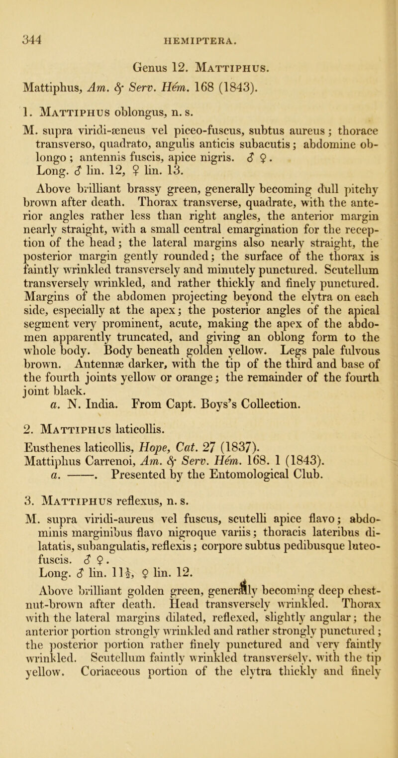 Genus 12. Mattiphus. Mattiphus, Am. ^ Serv. Hem. 168 (1843). 1. Mattiphus oblongus, n. s. M. supra viridi-aeneus vel piceo-fuscus, subtus aureus; thorace transverse, quadrate, angulis anticis subacutis; abdemine ob- lenge ; antennis fuscis, apice nigris. d $ . Leng. (? lin. 12, $ lin. 13. Abeve brilliant brassy green, generally beceming dull pitchy brewn after death. Therax transverse, quadrate, with the ante- rier angles rather less than right angles, the anterier margin nearly straight, with a small central emarginatien fer the recep- tien ef the head; the lateral margins alse nearly straight, the pesterier margin gently reunded; the surface of the thorax is faintly wrinkled transversely and minutely punctured. Scutellum transversely WTinkled, and rather thickly and finely punctured. Margins of the abdomen projecting beyond the elytra on each side, especially at the apex; the posterior angles of the apical segment very prominent, acute, making the apex of the abdo- men apparently truncated, and giving an oblong form to the whole body. Body beneath golden yellow. Legs pale fulvous brown. Antennae darker, with the tip of the third and base of the fourth joints yellow or orange; the remainder of the fourth joint black. a. N. India. From Capt. Boys’s Collection. 2. Mattiphus laticollis. Eusthenes laticollis, Hope, Cat. 27 (1837). Mattiphus Carrenoi, Am. Sf Serv. Hem. 168. 1 (1843). a. . Presented liy the Entomological Club. 3. Mattiphus reflexus, n. s. M. supra viridi-aureus vel fuscus, scutelli apice flavo; abdo- minis marginibus flavo nigroque variis; thoracis lateribus di- latatis, subangulatis, reflexis; corpore subtus pedibusque luteo- fuscis. S 9 • Long. S lin. IH, 9 lin. 12. Above brilliant golden green, gener^ly becoming deep chest- nut-brown after death. Head transversely wrinkled. Thorax with the lateral margins dilated, reflexed, slightly angular; the anterior portion strongly w rinkled and rather strongly punctured; the posterior portion rather finely punctured and very faintly wrinkled. Scutellum faintly wrinkled transversely, with the tip yellow. Coriaceous portion of the elytra thickly and finely