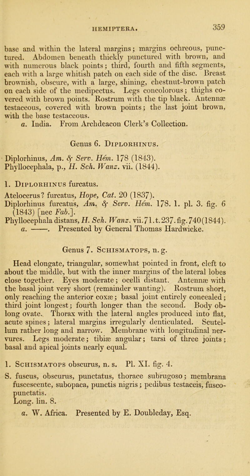 base and within the lateral margins; margins ochreous, punc- tured. Abdomen beneath thickly punctured with brown, and with numerous black points; third, fourth and fifth segments, each with a large whitish patch on each side of the disc. Breast brownish, obscure, with a large, shining, chestnut-brown patch on each side of the medipectus. Legs concolorous; thighs co- vered with brown points. Rostrum with the tip black. Antennae testaceous, covered with brown points; the last joint brown, with the base testaceous. a. India. From Archdeacon Clerk’s Collection. Genus 6. Diplorhinus. Diplorhinus, Am. ^ Serv. Hem. 178 (1843). Phyllocephala, p., H. Sch. Wanz. vii. (1844). 1. Diplorhinus furcatus. Atelocerus? furcatus, Hope, Cat. 20 (1837). Diplorhinus furcatus. Am. Sf Serv. Hem. 178. 1. pi. 3. fig. 6 (1843) [nec Fah.\ Phyllocephala distans, H. Sch. Wanz. vii.71.t.237.fig. 740(1844). a. . Presented by General Thomas Hardwicke. Genus 7* Schismatops, n. g. Head elongate, triangular, somewhat pointed in front, cleft to about the middle, but with the inner margins of the lateral lobes close together. Eyes moderate; ocelli distant. Antennae with the basal joint very short (remainder wanting). Rostrum short, only reaching the anterior coxae; basal joint entirely concealed; thu’d joint longest; fourth longer than the second. Body ob- long ovate. Thorax with the lateral angles produced into flat, acute spines; lateral margins irregularly denticulated. Scutel- lum rather long and narrow. Membrane with longitudinal ner- vures. Legs moderate; tibiae angular; tarsi of three joints; basal and apical joints nearly equal. 1. Schismatops obscurus, n. s. PI. XI. fig. 4. S. fuscus, obscurus, punctatus, thorace subrugoso; membrana fuscescente, subopaca, punctis nigris; pe dibus testaceis, fusco- punctatis. Long. lin. 8. a. W. Africa. Presented by E. Doubleday, Esq.