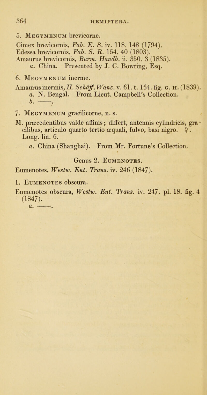 5. Megymenum brevicome. Cimex brevicornis, Fah. E. S. iv. 118. 148 (1794). Edessa brevicornis, Fab. S. R. 154. 40 (1803). Amaurus brevicornis, Burm. Handb. ii. 350. 3 (1835). a. China. Presented by J. C. Bowring, Esq. 6. Megymenum inerme. Amaurus inermis, H. Schdff. Wanz. v. 61. t. 164. fig. g. h. (1839). a. N. Bengal. From Lieut. Campbell’s Collection. b. . 7. Megymenum gracilicorne, n. s. M. praecedentibus valde affinis; difFert, antennis cylindricis, gra- cilibus, articulo quarto tertio sequali, fulvo, basi nigro. $. Long. lin. 6. a. China (Shanghai). From Mr. Fortune’s Collection. Genus 2. Eumenotes. Eumenotes, Westw. Ent. Trans, iv. 246 (1847). 1. Eumenotes obscura. Eumenotes obscura, Westw. Ent. Trans, iv. 247. pi. 18. fig. 4 (1847).