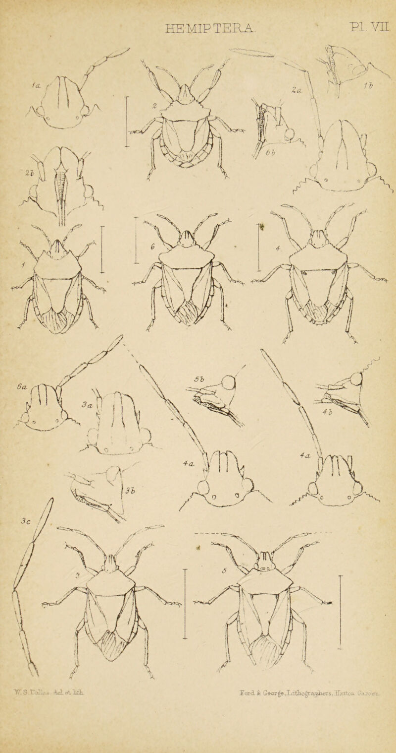 ddA'iidi, Ford A C&or^e.JjiliioJra.pht'rs, [Tiittc-u P^rdet..