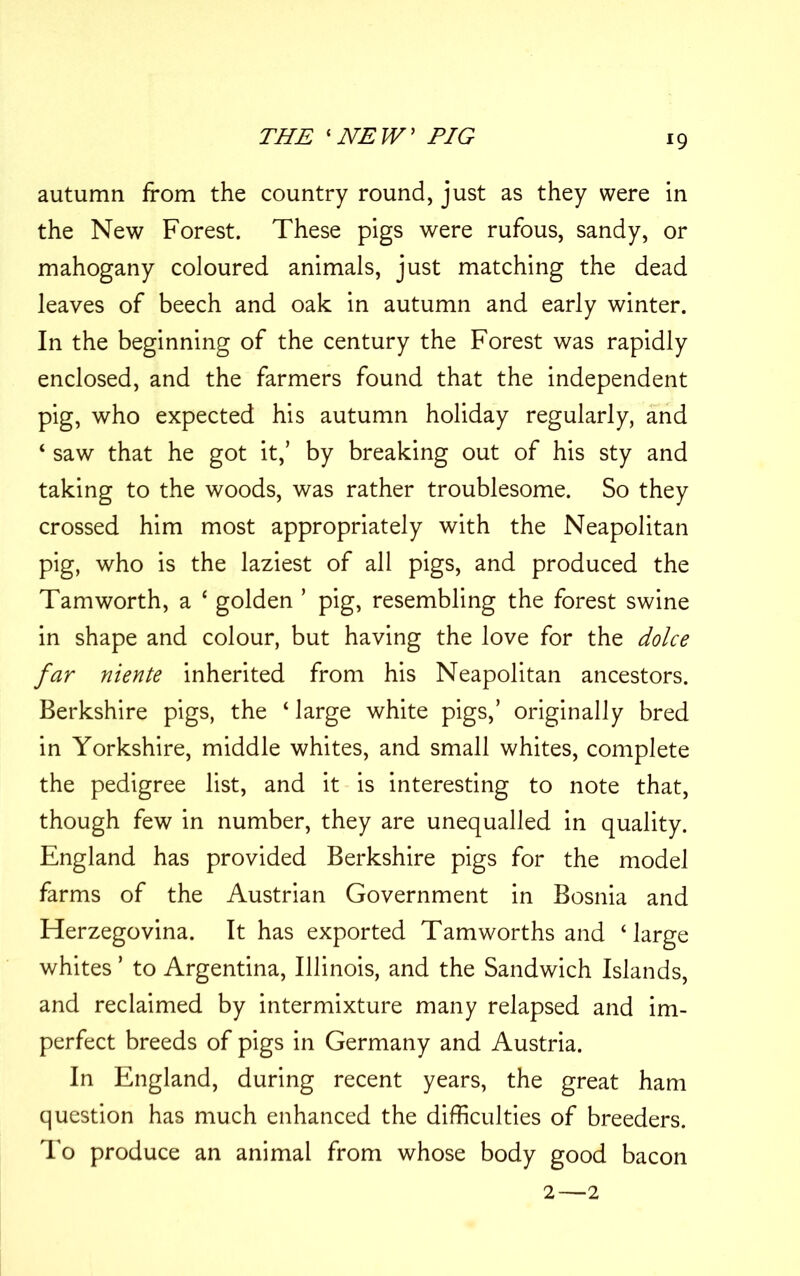 autumn from the country round, just as they were in the New Forest. These pigs were rufous, sandy, or mahogany coloured animals, just matching the dead leaves of beech and oak in autumn and early winter. In the beginning of the century the Forest was rapidly enclosed, and the farmers found that the independent pig, who expected his autumn holiday regularly, and ‘ saw that he got it,’ by breaking out of his sty and taking to the woods, was rather troublesome. So they crossed him most appropriately with the Neapolitan pig, who is the laziest of all pigs, and produced the Tam worth, a ‘ golden ’ pig, resembling the forest swine in shape and colour, but having the love for the dolce far niente inherited from his Neapolitan ancestors. Berkshire pigs, the ‘ large white pigs,’ originally bred in Yorkshire, middle whites, and small whites, complete the pedigree list, and it is interesting to note that, though few in number, they are unequalled in quality. England has provided Berkshire pigs for the model farms of the Austrian Government in Bosnia and Herzegovina. It has exported Tamworths and ‘large whites ’ to Argentina, Illinois, and the Sandwich Islands, and reclaimed by intermixture many relapsed and im- perfect breeds of pigs in Germany and Austria. In England, during recent years, the great ham question has much enhanced the difficulties of breeders. To produce an animal from whose body good bacon 2—2