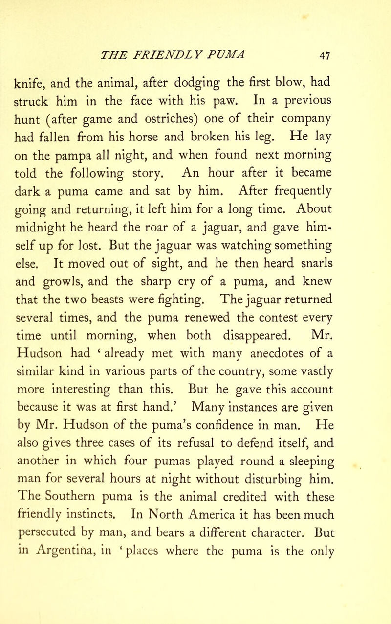 knife, and the animal, after dodging the first blow, had struck him in the face with his paw. In a previous hunt (after game and ostriches) one of their company had fallen from his horse and broken his leg. He lay on the pampa all night, and when found next morning told the following story. An hour after it became dark a puma came and sat by him. After frequently going and returning, it left him for a long time. About midnight he heard the roar of a jaguar, and gave him- self up for lost. But the jaguar was watching something else. It moved out of sight, and he then heard snarls and growls, and the sharp cry of a puma, and knew that the two beasts were fighting. The jaguar returned several times, and the puma renewed the contest every time until morning, when both disappeared. Mr. Hudson had ‘ already met with many anecdotes of a similar kind in various parts of the country, some vastly more interesting than this. But he gave this account because it was at first hand.’ Many instances are given by Mr. Hudson of the puma’s confidence in man. He also gives three cases of its refusal to defend itself, and another in which four pumas played round a sleeping man for several hours at night without disturbing him. The Southern puma is the animal credited with these friendly instincts. In North America it has been much persecuted by man, and bears a different character. But in Argentina, in ‘ places where the puma is the only