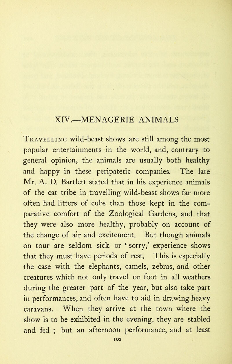 XIV.—MENAGERIE ANIMALS Travelling wild-beast shows are still among the most popular entertainments in the world, and, contrary to general opinion, the animals are usually both healthy and happy in these peripatetic companies. The late Mr. A. D. Bartlett stated that in his experience animals of the cat tribe in travelling wild-beast shows far more often had litters of cubs than those kept in the com- parative comfort of the Zoological Gardens, and that they were also more healthy, probably on account of the change of air and excitement. But though animals on tour are seldom sick or ‘ sorry,’ experience shows that they must have periods of rest. This is especially the case with the elephants, camels, zebras, and other creatures which not only travel on foot in all weathers during the greater part of the year, but also take part in performances, and often have to aid in drawing heavy caravans. When they arrive at the town where the show is to be exhibited in the evening, they are stabled and fed ; but an afternoon performance, and at least