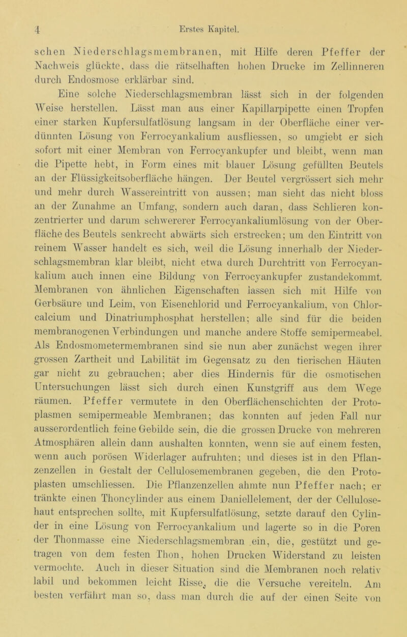 sehen Niederschlagsmembranen, mit Hilfe deren Pfeffer der Nachweis glückte, dass die rätselhaften hohen Drucke im Zellinneren durch Endosmose erklärbar sind. Eine solche Niederschlagsmembran lässt sich in der folgenden Weise herstellen. Lässt man aus einer Kapillarpipette einen Tropfen einer starken Kupfersulfatlösung langsam in der Oberfläche einer ver- dünnten Lösung von Ferrocyankalium ausfliessen, so umgiebt er sielt sofort mit einer Membran von Ferrocyankupfer und bleibt, wenn man die Pipette hebt, in Form eines mit blauer Lösung gefüllten Beutels an der Flüssigkeitsoberfläche hängen. Der Beutel vergrössert sich mehr und mehr durch Wassereintritt von aussen; man sieht das nicht bloss an der Zunahme an Umfang, sondern auch daran, dass Schlieren kon- zentrierter und darum schwererer Ferrocyankaliumlösung von der Ober- fläche des Beutels senkrecht abwärts sich erstrecken; um den Eintritt von reinem Wasser handelt es sich, weil die Lösung innerhalb der Nieder- schlagsmembran klar bleibt, nicht etwa durch Durchtritt von Ferrocyan- kalium auch innen eine Bildung von Ferrocyankupfer zustandekommt. Membranen von ähnlichen Eigenschaften lassen sich mit Hilfe von Gerbsäure und Leim, von Eisenchlorid und Ferrocyankalium, von Chlor- calcium und Dinatriumphosphat hersteilen; alle sind für die beiden membranogenen Verbindungen und manche andere Stoffe semipemieabel. Als Endosmometermembranen sind sie nun aber zunächst wegen ihrer grossen Zartheit und Labilität im Gegensatz zu den tierischen Häuten gar nicht zu gebrauchen; aber dies Hindernis für die osmotischen Untersuchungen lässt sich durch einen Kunstgriff aus dem Wege räumen. Pfeffer vermutete in den Oberflächenschichten der Proto- plasmen semipermeable Membranen; das konnten auf jeden Fall nur ausserordentlich feine Gebilde sein, die die grossen Drucke von mehreren Atmosphären allein dann aushalten konnten, wenn sie auf einem festen, wenn auch porösen Widerlager aufruhten; und dieses ist in den Pflan- zenzellen in Gestalt der Cellulosemembranen gegeben, die den Pro to- plasten umschliessen. Die Pflanzenzellen ahmte nun Pfeffer nach; er tränkte einen Thoncylinder aus einem Daniellelement, der der Cellulose- haut entsprechen sollte, mit Kupfersulfatlösung, setzte darauf den Cylin- der in eine Lösung von Ferrocyankalium und lagerte so in die Poren der Thonmasse eine Niederschlagsmembran ein, die, gestützt und ge- tragen von dem festen Thon, hohen Drucken Widerstand zu leisten vermochte. Auch in dieser Situation sind die Membranen noch relativ labil und bekommen leicht Risse,, die die Versuche vereiteln. Am besten verfährt man so, dass man durch die auf der einen Seite von