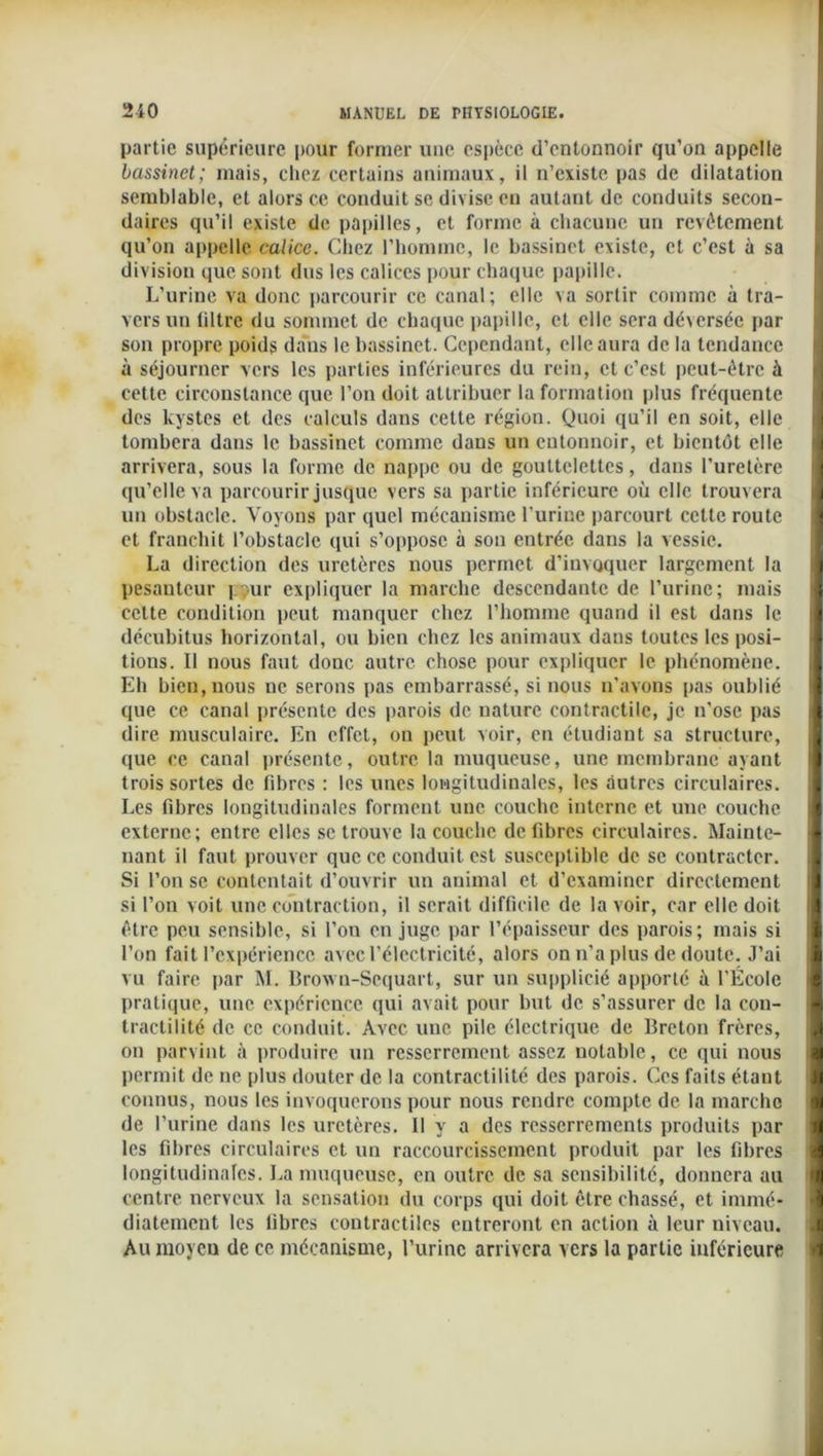 partie supérieure pour former une espèce d’entonnoir qu’on appelle bassinet; mais, chez certains animaux, il n’existe pas de dilatation semblable, et alors ce conduit se divise eu autant de conduits secon- daires qu’il existe de papilles, et forme à chacune un revêtement qu’on appelle calice. Chez l’homme, le bassinet existe, et c’est à sa division que sont dus les calices pour chaque papille. L’urine va donc parcourir ce canal; elle va sortir comme à tra- vers un liltre du sommet de chaque papille, et elle sera déversée par son propre poids dans le bassinet. Cependant, elle aura de la tendance à séjourner vers les parties inférieures du rein, et c’est peut-être à cette circonstance que l’on doit attribuer la formation plus fréquente des kystes et des calculs dans cette région. Quoi qu’il en soit, elle tombera dans le bassinet comme dans un entonnoir, et bientôt elle arrivera, sous la forme de nappe ou de gouttelettes, dans l’uretère qu’elle va parcourir jusque vers sa partie inférieure où elle trouvera un obstacle. Voyons par quel mécanisme l’urine parcourt cette route et franchit l’obstacle qui s’oppose à sou entrée dans la vessie. La direction des uretères nous permet d’invoquer largement la pesanteur p ur expliquer la marche descendante de l’urine; mais cette condition peut manquer chez l’homme quand il est dans le décubitus horizontal, ou bien chez les animaux dans toutes les posi- tions. Il nous faut donc autre chose pour expliquer le phénomène. Eh bien, nous ne serons pas embarrassé, si nous n’avons pas oublié que ce canal présente des parois de nature contractile, je n’ose pas dire musculaire. En effet, on peut voir, en étudiant sa structure, que ce canal présente, outre la muqueuse, une membrane ayant trois sortes de fibres : les unes longitudinales, les autres circulaires. Les fibres longitudinales forment une couche interne et une couche externe; entre elles se trouve la couche de fibres circulaires. Mainte- nant il faut prouver que ce conduit est susceptible de se contracter. Si l’on se contentait d’ouvrir un animal et d’examiner directement si l’on voit une contraction, il serait difficile de la voir, car elle doit être peu sensible, si l’on en juge par l’épaisseur des parois; mais si l’on fait l’expérience avec l’électricité, alors on n’a plus de doute. J’ai vu faire par M. Broxvn-Sequart, sur un supplicié apporté à l'École pratique, une expérience qui avait pour but de s’assurer de la con- tractilité de ce conduit. Avec une pile électrique de Breton frères, on parvint à produire un resserrement assez notable, ce qui nous permit de ne plus douter de la contractilité des parois. Ces faits étant connus, nous les invoquerons pour nous rendre compte de la marche de l’urine dans les uretères. Il y a des resserrements produits par les fibres circulaires et un raccourcissement produit par les fibres longitudinales. La muqueuse, en outre de sa sensibilité, donnera au centre nerveux la sensation du corps qui doit être chassé, et immé- diatement les fibres contractiles entreront en action à leur niveau. Au moyen de ce mécanisme, l’urine arrivera vers la partie inférieure