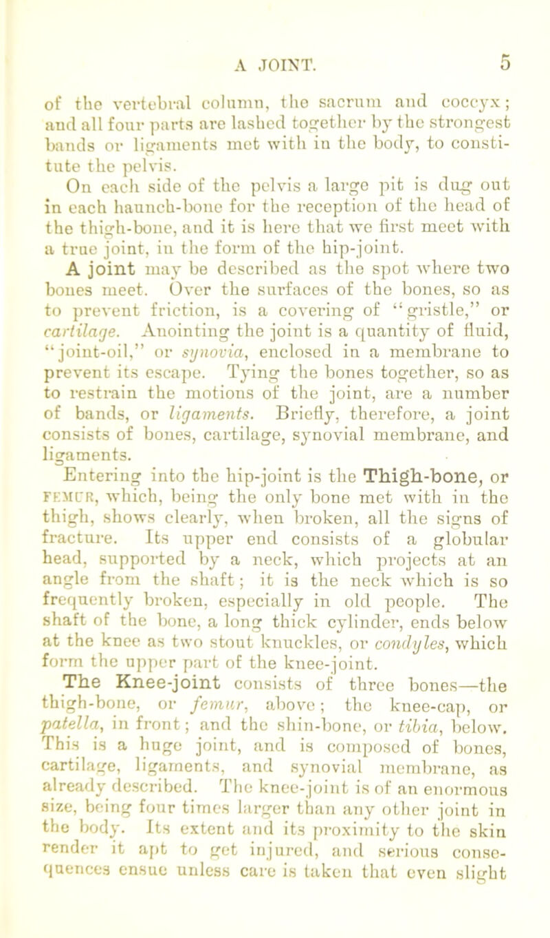 A JOINT. of the vertebral column, tlio sacrum and cocc3^x; and all four parts are lashed together by the strongest bands or ligaments met with in the body, to consti- tute the pelvis. On cacli side of the pelvis a large pit is dug out in each haunch-bone for the reception of the head of the thieh-bonc, and it is here that we first meet with o' ... a true joint, in the form of the hip-joint. A joint maj* be described as the spot Avhero two bones meet. Over the surfaces of the bones, so as to prevent friction, is a covei’ing of “ gristle,” or cartilage. Anointing the joint is a quantity of fluid, “joint-oil,” or sgnovia, enclosed in a membrane to prevent its escajie. Tying the bones together, so as to restrain the motions of the joint, are a number of bands, or ligaments. Briefly, thei-efore, a joint consists of bones, cartilage, synovial membrane, and ligaments. Entering into the hip-joint is the Thigh-bone, or FF.ML'R, which, being the only bone met with in the thigh, shows clearly, when broken, all the signs of fracture. Its upper end consists of a globular head, supported by a neck, which projects at an angle from the shaft; it is the neck which is so frequently broken, especially in old people. The shaft of the bone, a long thick cylinder, ends below at the knee as two stout knuckles, or condyles, which form the upper part of the knee-joint. The Knee-joint consists of three bones—the thigh-bone, or femur, above; the knee-cap, or patella, in front; and the shin-bone, or tibia, below. This is a huge joint, and is composed of bones, cartilage, ligaments, and synovial membrane, as already described. The knee-joint is of an enormous size, being four times larger than any other joint in the body. Its extent and its proximity to the skin render it a[>t to get injured, and serious conse- qnences ensue unless care is taken that even slight