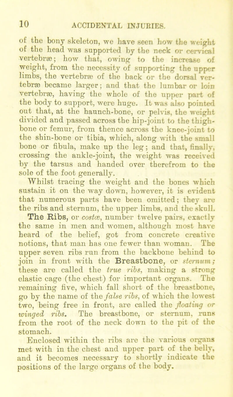 of the bony skeleton, we liave seen how the weight of tlie head was supported by the neck or cervical vertebras; liow that, owing to the increase of weight, from the necessity of supporting the upper limbs, the vertebrae of the back or the dorsal ver- tebral became larger; and that the lumbar or loin vertebras, having the whole of the upper part of the body to support, were huge. It was also pointed out that, at the haunch-bone, or pelvis, the weight divided and passed across the hip-joint to the thigh- bone or femur, from thence across the knee-joint to the shin-bone or tibia, which, along with the small bone or fibula, make up the leg; and that, finally, crossing the ankle-joint, the weight was receiv^ by the tarsus and handed over therefrom to the sole of the foot generally. Whilst tracing the weight and the bones which sustain it on the way down, however, it is evident that numerous parts have been omitted; they are the ribs and sternum, the upper limbs, and the .skull. The Ribs, or costce, number twelve pairs, exactly the same in men and women, although most have heard of the belief, got from concrete creative notions, that man has one fewer than woman. The upper seven ribs run from the backbone behind to join in front with the Breastbone, or sternum; these are called the true ribs, making a strong elastic cage (the chest) for important organs. The remaining five, -which fall short of the breastbone, go by the name of the/aZ*-e ribs, of which the lowest two, being free in front, are called the floating or winged ribs. The breastbone, or sternum, runs from the root of the neck down to the pit of the stomach. Enclosed within the ribs arc the various organs met with in the chest and upper part of the belly, and it becomes necessary to shortly indicate the positions of the large organs of the body.