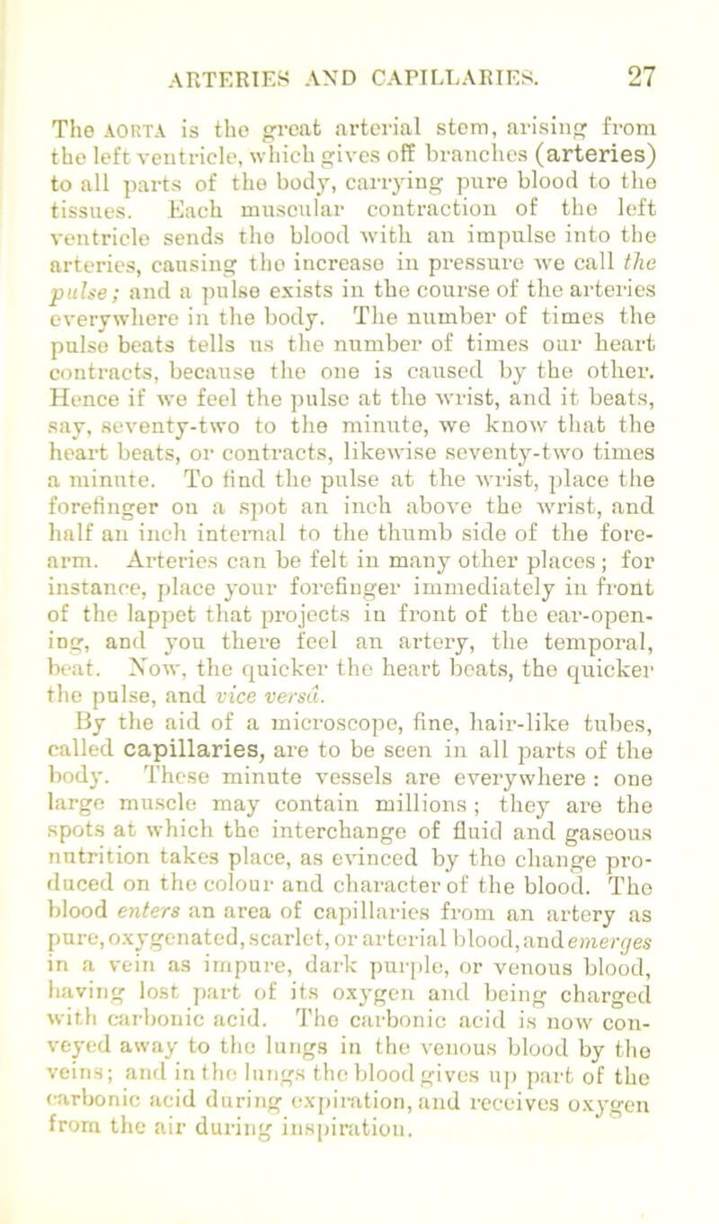 Tho AORTA is the great arterial stem, arising from the left ventricle, which gives off branches (arteries) to all parts of tho body, carrying pure blood to the tissues. Each muscular contraction of tho left ventricle sends tho blood with an impulse into the arteries, causing tho increase in pressure Ave call the pulse; and a pulse exists in the course of the arteries everywhere in the body. The number of times the pulso beats tells us the number of times our heart contracts, because tho one is caused by the other. Hence if we feel the ])ulsc at the Avrist, and it beats, say, seA'enty-two to the minute, we knoAv that the heart beats, or contracts, likeAvise seventy-tAvo times a minute. To find the pulse at the Avrist, ])lace the forefinger on a spot an inch aboA'e the Avi’ist, and half an inch intemal to the thumb side of the fore- arm. Ai’teries can be felt in many other places; for instance, j)lace your forefinger immediately in front of the lappet that projects in front of the ear-open- ing, and you there feel an artery, the temporal, beat. XoAv, the quicker the heart boats, the qiticker tlie pulse, and vice versa. By the aid of a microscope, fine, hair-like tubes, called capillaries, are to be seen in all parts of the body. These minute vessels are everywhere : one large muscle may contain millions ; they are the spots at Avhich the interchange of fluid and gaseous nutrition takes place, as CAunced by tho change pro- duced on the colour and character of the blood. The blood enters an area of capillaries from an artery as pure, o.xygenated, scarlet, or arterial blood, nrnlemercjes in a vein as impure, dark purple, or venous blood, having lost part of its oxygen and being charged Avith carbonic acid. Tho carbonic acid is noAv con- veyed away to the lungs in the A'cnous blood by the A'eiiis; and in the linigs the blood gives up part of the carbonic acid during exjtimtion, and receives o.xygen from the air during inspiration.