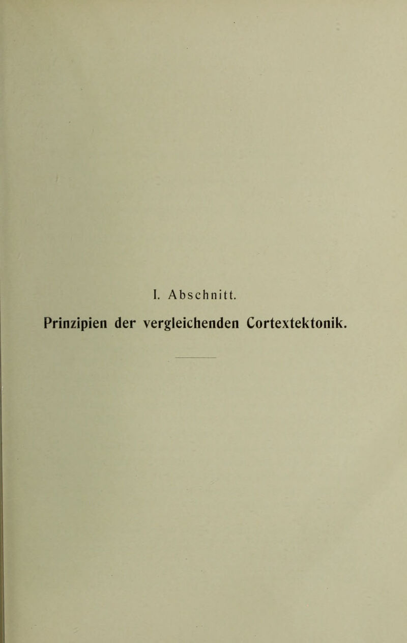 Prinzipien der vergleichenden Cortextektonik.