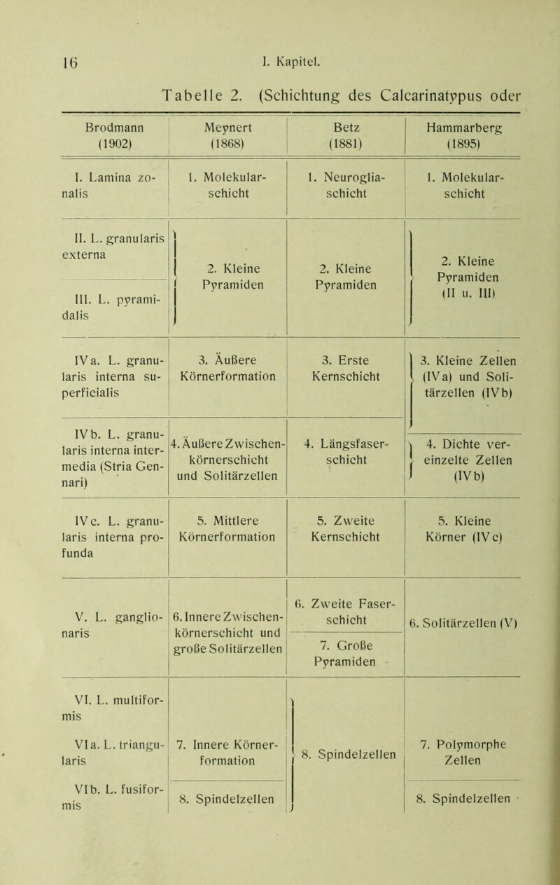 Tabelle 2. (Schichtung des Calearinat5>pus oder Brodmann (1902) Meynert (1868) Betz (1881) Hammarberg (1895) I. Lamina zo- nalis 1. Molekular- scfiicht 1. Neuroglia- schicht 1. Molekular- schicht II. L. granularis externa 2. Kleine Pyramiden 2. Kleine Pyramiden 2. Kleine Pyramiden (11 u. IUI III. L. pyrami- dalis IV a. L. granu- laris interna su- perficialis 3. Äußere Körnerformation 3. Erste Kernschicht 3. Kleine Zellen , (IVa) und Soli- tärzellen (IVb) IV b. L. granu- laris interna inter- media (Stria Gen- nari) 4. Äußere Zwischen- körnerschicht und Solitärzellen 4. Längsfaser- schicht 'l 4. Dichte ver- i einzelte Zellen I (IV b) IVc. L. granu- laris interna pro- funda 5. Mittlere Körnerformation 5. Zweite Kernschicht 5. Kleine Körner (IV c) V. L. ganglio- naris 6. Innere Zwischen- körnerschicht und große Solitärzellen 6. Zweite Faser- schicht 6. Solitärzellen (V) 7. Große Pyramiden VI. L. multifor- mis Via. L. triangu- laris VI b. L. fusifor- mis 7. Innere Körner- formation 8. Spindelzellen , 7. Polymorphe Zellen 8. Spindelzellen 8. Spindelzellen