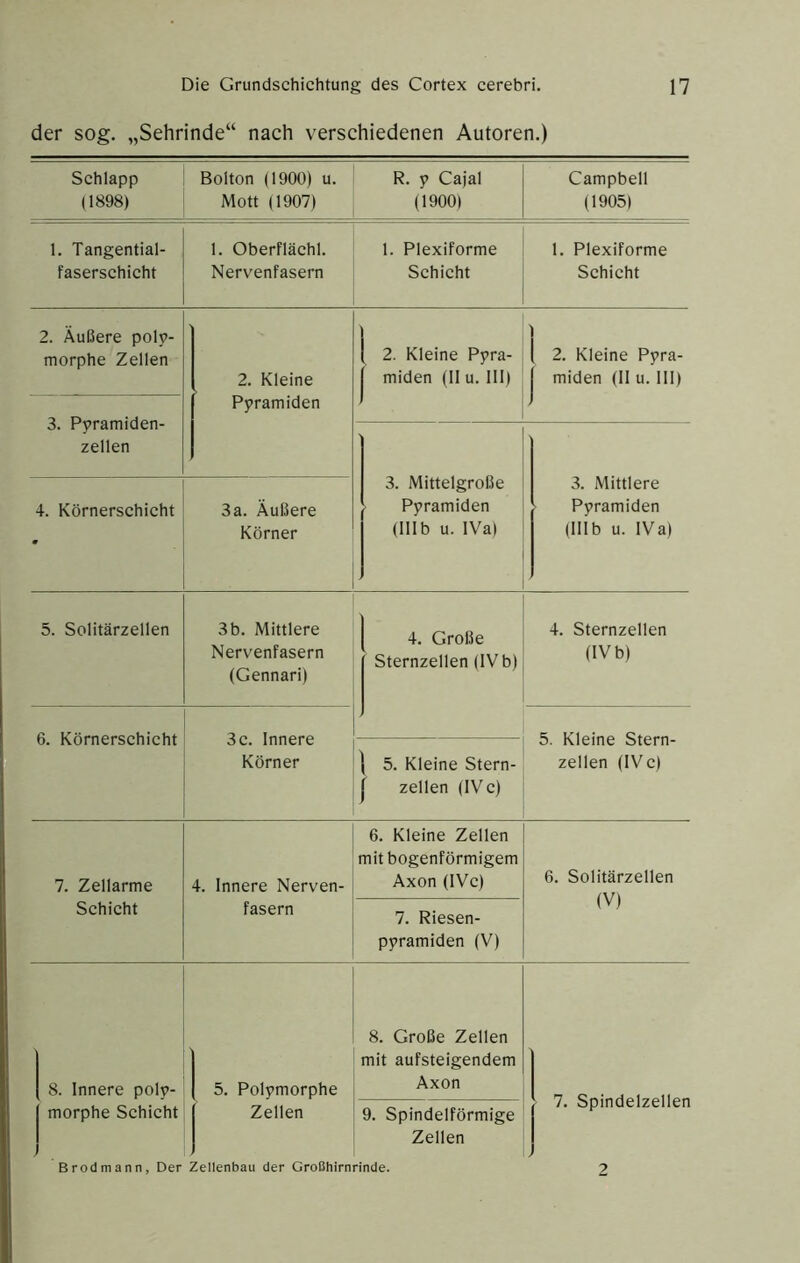 der sog. „Sehrinde“ nach verschiedenen Autoren.) Schlapp (1898) Bolton (1900) u. Mott (1907) R. y Cajal (1900) Campbell (1905) 1. Tangential- faserschicht 1. Oberflächl. Nervenfasern 1. Plexiforme Schicht 1. Plexiforme Schicht 2. Äußere polp- morphe Zellen 2. Kleine Pyramiden 1 2. Kleine Pyra- 1 miden (II u. III) 2. Kleine Pyra- miden (11 u. III) 3. Pyramiden- zellen 3. Mittelgroße Pyramiden (IIIb u. IVa) 3. Mittlere Pyramiden (lllb u. IVa) 4. Körnerschicht 3a. Äußere Körner 5. Solitärzellen 3 b. Mittlere Nervenfasern (Gennari) 4. Große Sternzellen (IV b) 4. Sternzellen (IVb) 6. Körnerschicht 3 c. Innere Körner 5. Kleine Stern- zellen (IVc) 1 5. Kleine Stern- 1 zellen (IVc) 7. Zellarme Schicht 4. Innere Nerven- fasern 6. Kleine Zellen mit bogenförmigem Axon (IVc) 6. Solitärzellen (V) 7. Riesen- pyramiden (V) 8. Innere poly- morphe Schicht 5. Polymorphe Zellen 8. Große Zellen mit aufsteigendem Axon 7. Spindelzellen 9. Spindelförmige Zellen Brodmann, Der Zellenbau der Großhirnrinde. 2