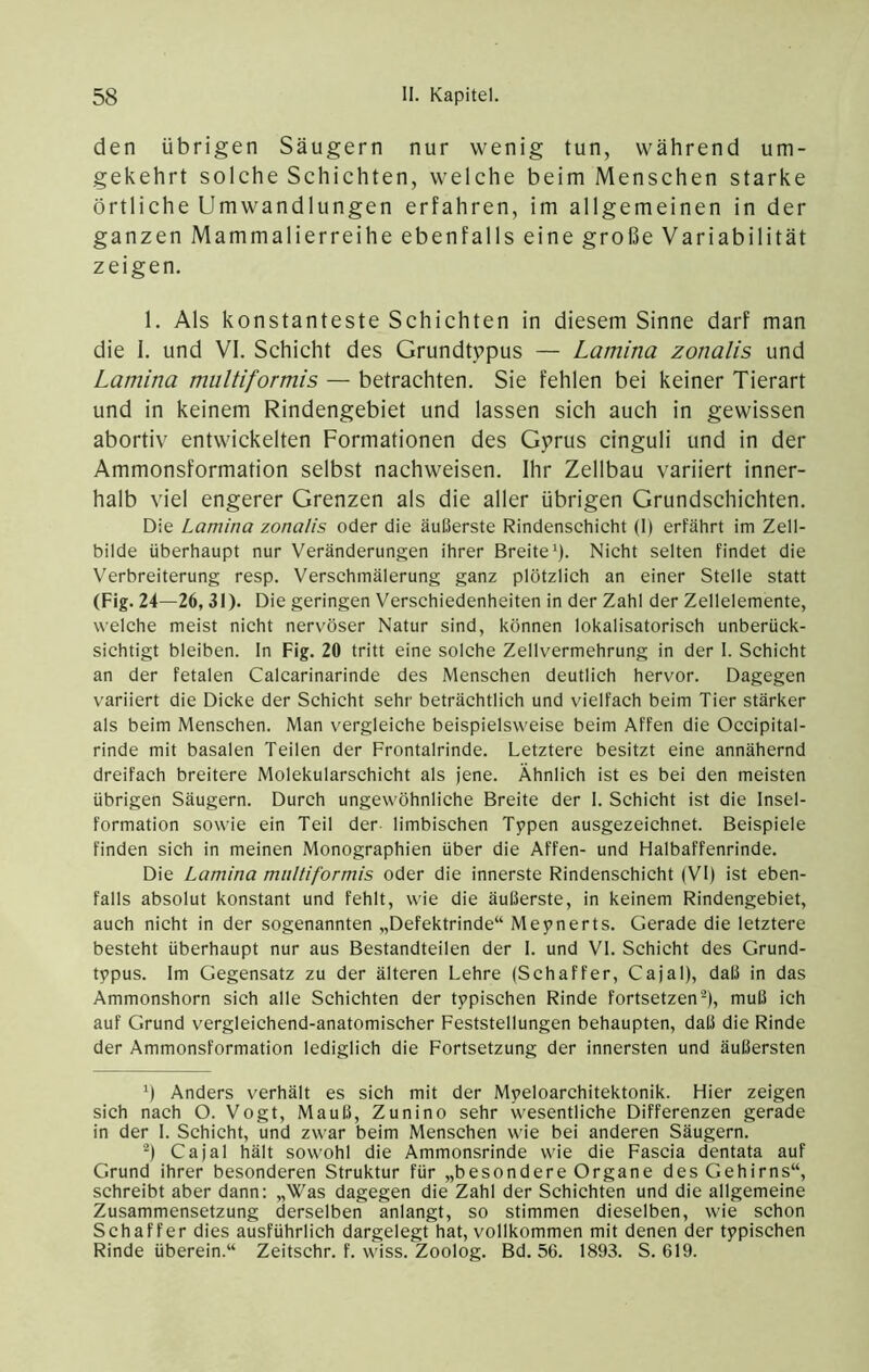 den übrigen Säugern nur wenig tun, während um- gekehrt solche Schichten, welche beim Menschen starke örtliche Umwandlungen erfahren, im allgemeinen in der ganzen Mammalierreihe ebenfalls eine große Variabilität zeigen. 1, Als konstanteste Schichten in diesem Sinne darf man die I. und VI. Schicht des Grundtvpus — Lamina zonalis und Lamina miiltiformis — betrachten. Sie fehlen bei keiner Tierart und in keinem Rindengebiet und lassen sich auch in gewissen abortiv entwickelten Formationen des Gj’rus cinguli und in der Ammonsformation selbst nachweisen. Ihr Zellbau variiert inner- halb viel engerer Grenzen als die aller übrigen Grundschichten. Die Lamina zonalis oder die äußerste Rindenschicht (1) erfährt im Zell- bilde überhaupt nur Veränderungen ihrer Breite ö. Nicht selten findet die Verbreiterung resp. Verschmälerung ganz plötzlich an einer Stelle statt (Fig. 24—26,31). Die geringen Verschiedenheiten in der Zahl der Zellelemente, welche meist nicht nervöser Natur sind, können lokalisatorisch unberück- sichtigt bleiben. In Fig. 20 tritt eine solche Zellvermehrung in der I. Schicht an der fetalen Calcarinarinde des Menschen deutlich hervor. Dagegen x'ariiert die Dicke der Schicht sehr beträchtlich und vielfach beim Tier stärker als beim Menschen. Man vergleiche beispielsweise beim Affen die Occipital- rinde mit basalen Teilen der Frontalrinde. Letztere besitzt eine annähernd dreifach breitere Molekularschicht als jene. Ähnlich ist es bei den meisten übrigen Säugern. Durch ungewöhnliche Breite der I. Schicht ist die Insel- formation sowie ein Teil der limbischen Typen ausgezeichnet. Beispiele finden sich in meinen Monographien über die Affen- und Halbaffenrinde. Die Lamina miiltiformis oder die innerste Rindenschicht (VI) ist eben- falls absolut konstant und fehlt, wie die äußerste, in keinem Rindengebiet, auch nicht in der sogenannten „Defektrinde“ Meynerts. Gerade die letztere besteht überhaupt nur aus Bestandteilen der I. und VI. Schicht des Grund- typus. Im Gegensatz zu der älteren Lehre (Schaffer, Cajal), daß in das Ammonshorn sich alle Schichten der typischen Rinde fortsetzen-), muß ich auf Grund vergleichend-anatomischer Feststellungen behaupten, daß die Rinde der Ammonsformation lediglich die Fortsetzung der innersten und äußersten Ö Anders verhält es sich mit der Myeloarchitektonik. Hier zeigen sich nach O. Vogt, Mauß, Zunino sehr wesentliche Differenzen gerade in der I. Schicht, und zwar beim Menschen wie bei anderen Säugern. ^) Cajal hält sowohl die Ammonsrinde wie die Fascia dentata auf Grund ihrer besonderen Struktur für „besondere Organe des Gehirns“, schreibt aber dann: „Was dagegen die Zahl der Schichten und die allgemeine Zusammensetzung derselben anlangt, so stimmen dieselben, wie schon Schaffer dies ausführlich dargelegt hat, vollkommen mit denen der typischen Rinde überein.“ Zeitschr. f. wiss. Zoolog. Bd. 56. 1893. S. 619.