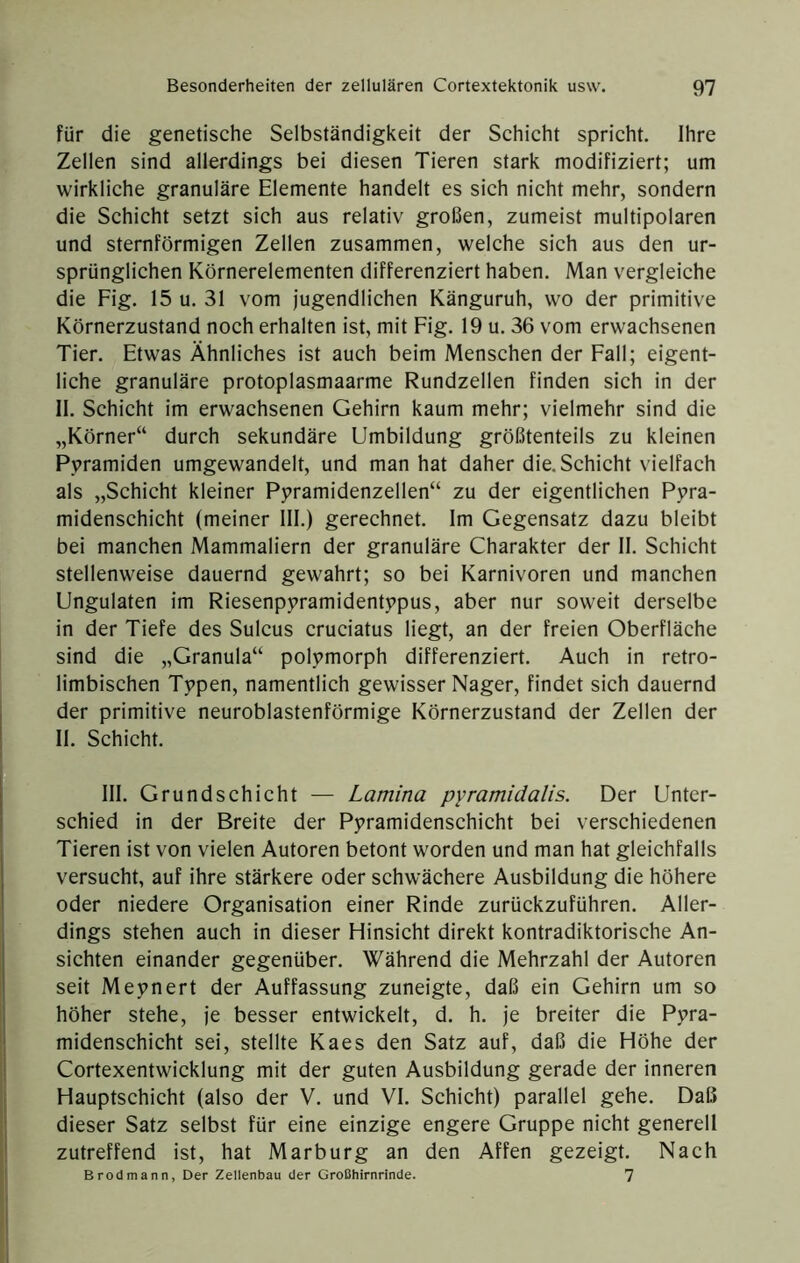 für die genetische Selbständigkeit der Schicht spricht. Ihre Zellen sind allerdings bei diesen Tieren stark modifiziert; um wirkliche granuläre Elemente handelt es sich nicht mehr, sondern die Schicht setzt sich aus relativ großen, zumeist multipolaren und sternförmigen Zellen zusammen, welche sich aus den ur- sprünglichen Körnerelementen differenziert haben. Man vergleiche die Fig. 15 u. 31 vom jugendlichen Känguruh, wo der primitive Körnerzustand noch erhalten ist, mit Fig. 19 u. 36 vom erwachsenen Tier. Etwas Ähnliches ist auch beim Menschen der Fall; eigent- liche granuläre protoplasmaarme Rundzellen finden sich in der II. Schicht im erwachsenen Gehirn kaum mehr; vielmehr sind die „Körner“ durch sekundäre Umbildung größtenteils zu kleinen Pyramiden umgewandelt, und man hat daher die. Schicht vielfach als „Schicht kleiner Pyramidenzellen“ zu der eigentlichen Pyra- midenschicht (meiner 111.) gerechnet. Im Gegensatz dazu bleibt bei manchen Mammaliern der granuläre Charakter der II. Schicht stellenweise dauernd gewahrt; so bei Karnivoren und manchen Ungulaten im Riesenpyramidentypus, aber nur soweit derselbe in der Tiefe des Sulcus cruciatus liegt, an der freien Oberfläche sind die „Granula“ polymorph differenziert. Auch in retro- limbischen Typen, namentlich gewisser Nager, findet sich dauernd der primitive neuroblastenförmige Körnerzustand der Zellen der II. Schicht. III. G rundschicht — Lamina pyramidalis. Der Unter- schied in der Breite der Pyramidenschicht bei verschiedenen Tieren ist von vielen Autoren betont worden und man hat gleichfalls versucht, auf ihre stärkere oder schwächere Ausbildung die höhere oder niedere Organisation einer Rinde zurückzuführen. Aller- dings stehen auch in dieser Hinsicht direkt kontradiktorische An- sichten einander gegenüber. Während die Mehrzahl der Autoren seit Meynert der Auffassung zuneigte, daß ein Gehirn um so höher stehe, je besser entwickelt, d. h. je breiter die Pyra- midenschicht sei, stellte Kaes den Satz auf, daß die Höhe der Cortexentwicklung mit der guten Ausbildung gerade der inneren Hauptschicht (also der V. und VI. Schicht) parallel gehe. Daß dieser Satz selbst für eine einzige engere Gruppe nicht generell zutreffend ist, hat Marburg an den Affen gezeigt. Nach Brodmann, Der Zellenbau der Großhirnrinde. 7