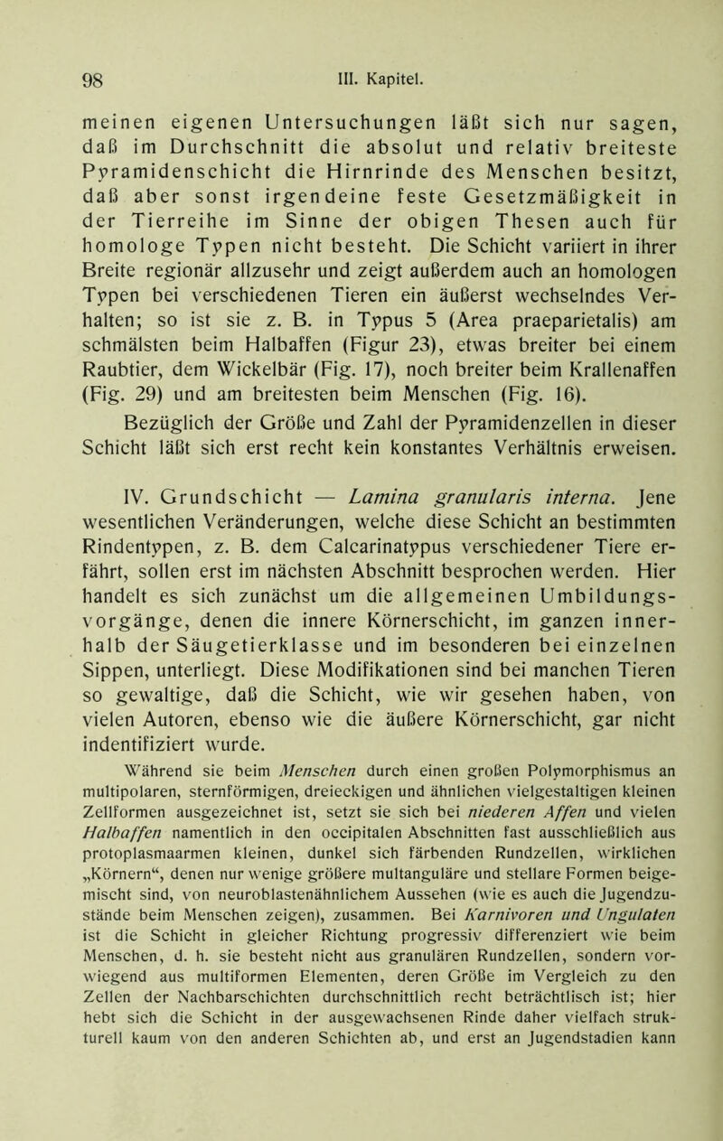 meinen eigenen Untersuchungen läßt sich nur sagen, daß im Durchschnitt die absolut und relativ breiteste Pyramidenschicht die Hirnrinde des Menschen besitzt, daß aber sonst irgendeine feste Gesetzmäßigkeit in der Tierreihe im Sinne der obigen Thesen auch für homologe Typen nicht besteht. Die Schicht variiert in ihrer Breite regionär allzusehr und zeigt außerdem auch an homologen Typen bei verschiedenen Tieren ein äußerst wechselndes Ver- halten; so ist sie z. B. in Typus 5 (Area praeparietalis) am schmälsten beim Halbaffen (Figur 23), etwas breiter bei einem Raubtier, dem Wickelbär (Fig. 17), noch breiter beim Krallenaffen (Fig. 29) und am breitesten beim Menschen (Fig. 16). Bezüglich der Größe und Zahl der Pyramidenzellen in dieser Schicht läßt sich erst recht kein konstantes Verhältnis erweisen. IV. Grundschicht — Lamina granularis interna. Jene wesentlichen Veränderungen, welche diese Schicht an bestimmten Rindentypen, z. B. dem Calcarinatypus verschiedener Tiere er- fährt, sollen erst im nächsten Abschnitt besprochen werden. Hier handelt es sich zunächst um die allgemeinen Umbildungs- vorgänge, denen die innere Körnerschicht, im ganzen inner- halb der Säugetierklasse und im besonderen bei einzelnen Sippen, unterliegt. Diese Modifikationen sind bei manchen Tieren so gewaltige, daß die Schicht, wie wir gesehen haben, von vielen Autoren, ebenso wie die äußere Körnerschicht, gar nicht indentifiziert wurde. Während sie beim Menschen durch einen großen Polymorphismus an multipolaren, sternförmigen, dreieckigen und ähnlichen vielgestaltigen kleinen Zellformen ausgezeichnet ist, setzt sie sich bei niederen Affen und vielen Halbaffen namentlich in den occipitalen Abschnitten fast ausschließlich aus protoplasmaarmen kleinen, dunkel sich färbenden Rundzellen, wirklichen „Körnern“, denen nur wenige größere multanguläre und stellare Formen beige- mischt sind, von neuroblastenähnlichem Aussehen (wie es auch die Jugendzu- stände beim Menschen zeigen), zusammen. Bei Karnivoren und Ungiilaten ist die Schicht in gleicher Richtung progressiv differenziert wie beim Menschen, d. h. sie besteht nicht aus granulären Rundzellen, sondern vor- wiegend aus multiformen Elementen, deren Größe im Vergleich zu den Zellen der Nachbarschichten durchschnittlich recht beträchtlisch ist; hier hebt sich die Schicht in der ausgewachsenen Rinde daher vielfach struk- turell kaum von den anderen Schichten ab, und erst an Jugendstadien kann