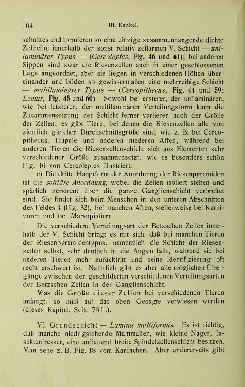 Schnittes und formieren so eine einzige zusammenhängende dichte Zellreihe innerhalb der sonst relativ zellarmen V. Schicht — uni- laminärer Typus — {Cercoleptes, Fig. 46 und 61); bei anderen Sippen sind zwar die Riesenzellen auch in einer geschlossenen Lage angeordnet, aber sie liegen in verschiedenen Höhen über- einander und bilden so gewissermaßen eine mehrreihige Schicht — multilaminärer Typus — {Cercopithecus, Fig. 44 und 59; Lemur, Fig. 45 und 60). Sowohl bei ersterer, der unilaminären, wie bei letzterer, der multilaminären Verteilungsform kann die Zusammensetzung der Schicht ferner variieren nach der Größe der Zellen; es gibt Tiere, bei denen die Riesenzellen alle von ziemlich gleicher Durchschnittsgröße sind, wie z. B. bei Cerco- pithecus, Hapale und anderen niederen Affen, während bei anderen Tieren die Riesenzellenschicht sich aus Elementen sehr verschiedener Größe zusammensetzt, wie es besonders schön Fig. 46 von Cercoleptes illustriert. c) Die dritte Hauptform der Anordnung der Riesenppramiden ist die solitäre Anordnung, wobei die Zellen isoliert stehen und spärlich zerstreut über die ganze Ganglienschicht verbreitet sind. Sie findet sich beim Menschen in den unteren Abschnitten des Feldes 4 (Fig. 32), bei manehen Affen, stellenweise bei Karni- voren und bei Marsupialiern. Die verschiedene Verteilungsart der Betzschen Zellen inner- halb der V. Schicht bringt es mit sich, daß bei manchen Tieren der Riesenppramidentypus, namentlich die Schicht der Riesen- zellen selbst, sehr deutlich in die Augen fällt, während sie bei anderen Tieren mehr zurücktritt und seine Identifizierung oft recht erschwert ist. Natürlieh gibt es aber alle möglichen Über- gänge zwischen den geschilderten verschiedenen Verteilungsarten der Betzsehen Zellen in der Ganglienschicht. Was die Größe dieser Zellen bei versehiedenen Tieren anlangt, so muß auf das oben Gesagte verwiesen werden (dieses Kapitel, Seite 76 ff.). VI. Grundschicht—Lamina multiformis. Es ist richtig, daß manche niedrigstehende Mammalier, wie kleine Nager, In- sektenfresser, eine auffallend breite Spindelzellenschicht besitzen. Man sehe z. B. Fig. 18 vom Kaninchen. Aber andererseits gibt