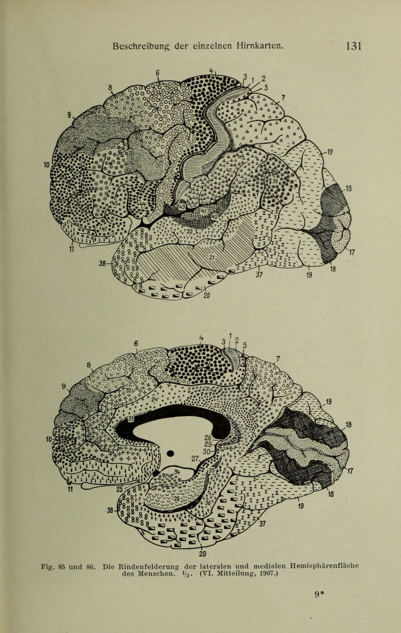 Fig. 85 und 86. Die Rindenfelderung der lateralen und medialen Hemisphärenfläche des Menschen. 1/2- (VI. Mitteilung, 1907.)