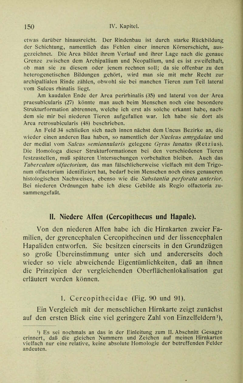 etwas darüber hinausreicht. Der Rindenbau ist durch starke Rückbildung der Schichtung, namentlich das Fehlen einer inneren Körnerschicht, aus- gezeichnet. Die Area bildet ihrem Verlauf und ihrer Lage nach die genaue Grenze zwischen dem Archipallium und Neopallium, und es ist zweifelhaft, ob man sie zu diesem oder jenem rechnen soll; da sie offenbar zu den heterogenetischen Bildungen gehört, wird man sie mit mehr Recht zur archipallialen Rinde zählen, obwohl sie bei manchen Tieren zum Teil lateral vom Sulcus rhinalis liegt. Am kaudalen Ende der Area perirhinalis (35) und lateral von der Area praesubicularis (27) könnte man auch beim Menschen noch eine besondere Strukturformation abtrennen, welche ich erst als solche erkannt habe, nach- dem sie mir bei niederen Tieren aufgefallen war. Ich habe sie dort als Area retrosubicularis (48) beschrieben. An Feld 34 schließen sich nach innen nächst dem Uncus Bezirke an, die wieder einen anderen Bau haben, so namentlich der Nucleus amygdalae und der medial vom Sulcus semiannularis gelegene Gyrus lunatus (Retzius). Die Homologa dieser Strukturformationen bei den verschiedenen Tieren festzustellen, muß späteren Untersuchungen Vorbehalten bleiben. Auch das Tuberculum olfactorium, das man fälschlicherweise vielfach mit dem Trigo- num olfactorium identifiziert hat, bedarf beim Menschen noch eines genaueren histologischen Nachweises, ebenso wie die Substantia perforata anterior. Bei niederen Ordnungen habe ich diese Gebilde als Regio olfactoria zu- sammengefaßt. II. Niedere Affen (Cercopithecus und Hapale). Von den niederen Affen habe ich die Hirnkarten zweier Fa- milien, der gprencephalen Cercopithecinen und der lissencephalen Hapaliden entworfen. Sie besitzen einerseits in den Grundzügen so große Übereinstimmung unter sich und andererseits doch wieder so viele abweichende Eigentümlichkeiten, daß an ihnen die Prinzipien der vergleichenden Oberflächenlokalisation gut erläutert werden können. 1. Cercopithecidae (Fig. 90 und 91). Ein Vergleich mit der menschlichen Hirnkarte zeigt zunächst auf den ersten Blick eine viel geringere Zahl von Einzelfeldern'), 9 Es sei nochmals an das in der Einleitung zum II. Abschnitt Gesagte erinnert, daß die gleichen Nummern und Zeichen auf meinen Hirnkarten vielfach nur eine relative, keine absolute Homologie der betreffenden Felder andeuten.