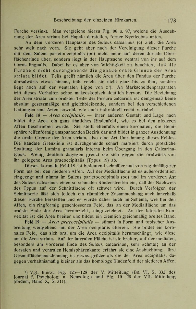 Furche versinkt. Man vergleiche hierzu Fig. 96 u. 97, welche die Ausdeh- nung der Area striata bei Hapale darstellen, ferner Nycticebus unten. An dem vorderen Hauptaste des Sulcus calcarinus (c) zieht die Area sehr weit nach vorn. Sie geht aber nach der Vereinigung dieser Furche mit dem Sulcus parietooccipitalis (po) nicht mehr auf deren dorsale Ober- flächenrinde über, sondern liegt in der Hauptsache ventral von ihr auf dem Gprus lingualis. Dabei ist es aber von Wichtigkeit zu beachten, daß die Furche c nicht durchgehends die genaue orale Grenze der Area striata bildet. Teils greift nämlich die Area über den Fundus der Furche dorsalwärts etwas hinaus, teils reicht sie nicht ganz bis zu ihm, sondern liegt noch auf der ventralen Lippe von c'). An Markscheidenpräparaten tritt dieses Verhalten schon makroskopisch deutlich hervor. Die Beziehung der Area striata zum oralsten Teile der Fissura calcarina ist demgemäß keine absolut gesetzmäßige und gleichbleibende, sondern bei den verschiedenen Gattungen und Arten sowohl, wie auch individuell recht variabel. Feld 18 — Area occipitalis. — Ihrer äußeren Gestalt und Lage nach bildet die Area ein ganz ähnliches Rindenfeld, wie es bei den niederen Affen beschrieben wurde. Sie stellt ebenfalls einen koronalen, die Hemi- sphäre reifenförmig umspannenden Bezirk dar und bildet in ganzer Ausdehnung die orale Grenze der Area striata, also eine Art Umrahmung dieses Feldes. Die kaudale Grenzlinie ist durchgehends scharf markiert durch plötzliche Spaltung der Lamina granularis interna beim Übergang in den Calcarina- tppus. Wenig deutlich dagegen grenzt sie sich gegen die oralwärts von ihr gelegene Area praeoccipitalis (Tppus 19) ab. Dieses koronale Feld 18 ist bedeutend schmäler und von regelmäßigerer Form als bei den niederen Affen. Auf der Medialfläche ist es außerordentlich eingeengt und nimmt im Sulcus parietooccipitalis (po) und im vorderen Ast des Sulcus calcarinus einen so schmalen Rindenstreifen ein, daß der Nachweis des Typus auf der Schnittfläche oft schwer wird. Durch Verfolgen der Schnittserie läßt sich jedoch ein räumlicher Zusammenhang auch innerhalb dieser Furche hersteilen und es wurde daher auch im Schema, wie bei den Affen, ein ringförmig geschlossenes Feld, das an der Medialfläche um das oralste Ende der Area herumzieht, eingezeichnet. An der lateralen Kon- vexität ist die Area breiter und bildet ein ziemlich gleichmäßig breites Band. Feld 19 — Area praeoccipitalis — stimmt in Form und topischer Aus- breitung weitgehend mit der Area occipitalis überein. Sie bildet ein koro- nales Feld, das sich oral um die Area occipitalis herumschlingt, wie diese um die Area striata. Auf der lateralen Fläche ist sie breiter, auf der medialen, besonders am vorderen Ende des Sulcus calcarinus, sehr schmal; an der dorsalen und ventralen Hemisphärenkante erfährt sie eine Ausbuchtung. Ihre Gesamtflächenausdehnung ist etwas größer als die der Area occipitalis, da- gegen verhältnismäßig kleiner als das homologe Rindenfeld der niederen Affen. ^1 Vgl. hierzu Fig. 125—128 der V. Mitteilung (Bd. VI, S. 332 des Journal f. Psycholog, u. Neurolog.) und Fig. 19—26 der VII. Mitteilung (ibidem, Band X, S. 311).