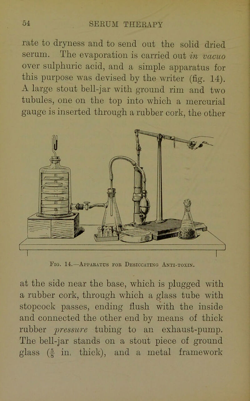 rate to dryness and to send out the solid dried serum. The evaporation is carried out in vacuo over sulphuric acid, and a simple apparatus for this purpose was devised by the writer (fig. 14). A large stout bell-jar with ground rim and two tubules, one on the top into which a mercurial gauge is inserted through a rubber cork, the other at the side near the base, which is plugged with a rubber cork, through which a glass tube with stopcock passes, ending flush with the inside and connected the other end by means of thick rubber 'pressure tubing to an exhaust-pump. The bell-jar stands on a stout piece of ground glass (f in. thick), and a metal framework