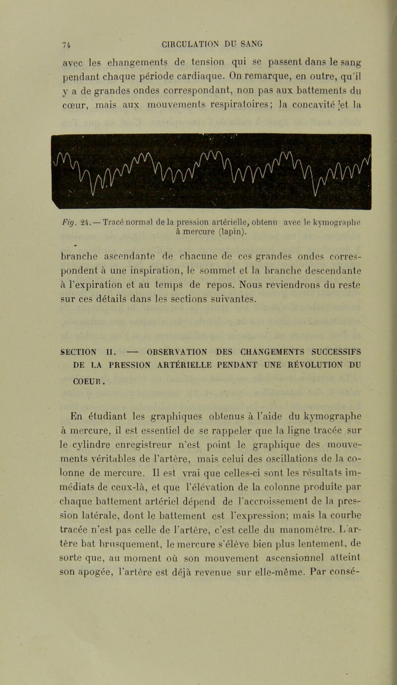 avec les changements de tension qui se passent dans le sang pendant chaque période cardiaque. On remarque, en outre, qu’il y a de grandes ondes correspondant, non pas aux battements du cœur, mais aux mouvements respiratoires; la concavité jet la Fig. 24. — Tracé normal de la pression artérielle, obtenu avec le kymographe à mercure (lapin). branche ascendante de chacune de ces grandes ondes corres- pondent à une inspiration, le sommet et la branche descendante à l’expiration et au temps de repos. Nous reviendrons du reste sur ces détails dans les sections suivantes. SECTION II. — OBSERVATION DES CHANGEMENTS SUCCESSIFS DE LA PRESSION ARTÉRIELLE PENDANT UNE RÉVOLUTION DU COEUR. En étudiant les graphiques obtenus à l’aide du kymographe à mercure, il est essentiel de se rappeler que la ligne tracée sur le cylindre enregistreur n'est point le graphique des mouve- ments véritables de l’artère, mais celui des oscillations de la co- lonne de mercure. Il est vrai que celles-ci sont les résultats im- médiats de ceux-là, et que l'élévation de la colonne produite par chaque battement artériel dépend de l’accroissement de la pres- sion latérale, dont le battement est l’expression; mais la courbe tracée n’est pas celle de l’artère, c’est, celle du manomètre. L'ar- tère bat brusquement, le mercure s'élève bien plus lentement, de sorte que, au moment où son mouvement ascensionnel atteint son apogée, l’artère est déjà revenue sur elle-même. Par consé-