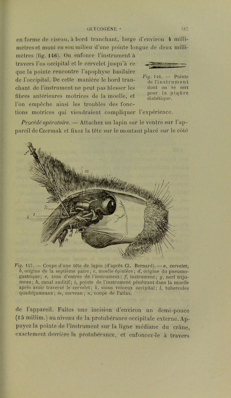 en forme de ciseau, à bord tranchant, large d’environ 4 milli- mètres et muni en son milieu d’une pointe longue de deux milli- mètres (fig. 146). On enfonce l’instrument à travers l’os occipital et le cervelet jusqu’à ce que la pointe rencontre l’apophyse basilaire de l’occipital. De cette manière le bord tran- chant de l’instrument ne peut pas blesser les fibres antérieures motrices de la moelle, et l’on empêche ainsi les troubles des fonc- Fig. 146. — Pointe de l’instrument dont on se sert pour la piqûre diabétique. lions moLrices qui viendraient compliquer l’expérience. Procédé opératoire. — Attachez un lapin sur le ventre sur l'ap- pareil de Gzermak et fixez la tète sur le montant placé sur le côté Fig. 147. — Coupe d’une tête de lapin (d’après Cl. Bernard).— a, cervelet; b, origine de la septième paire; c, moelle épinière; d, origine du pneumo- gastrique; e, trou d’entrée de l’instrument; f, instrument; g, nerf triju- meau ; h, canal auditif ; i, pointe de l’instrument pénétrant dans la moelle après avoir traversé le cervelet; k, sinus veineux occipital; L, tubercules quadrijumeaux; m, cerveau; n, coupe de l’atlas. de l’appareil. Faites une incision d’environ un demi-pouce (1 5 millim.) au niveau de la protubérance occipitale externe. Ap- puyez la pointe de l’instrument sur la ligne médiane du crâne, exactement derrière la protubérance, et enfoncez-le à travers