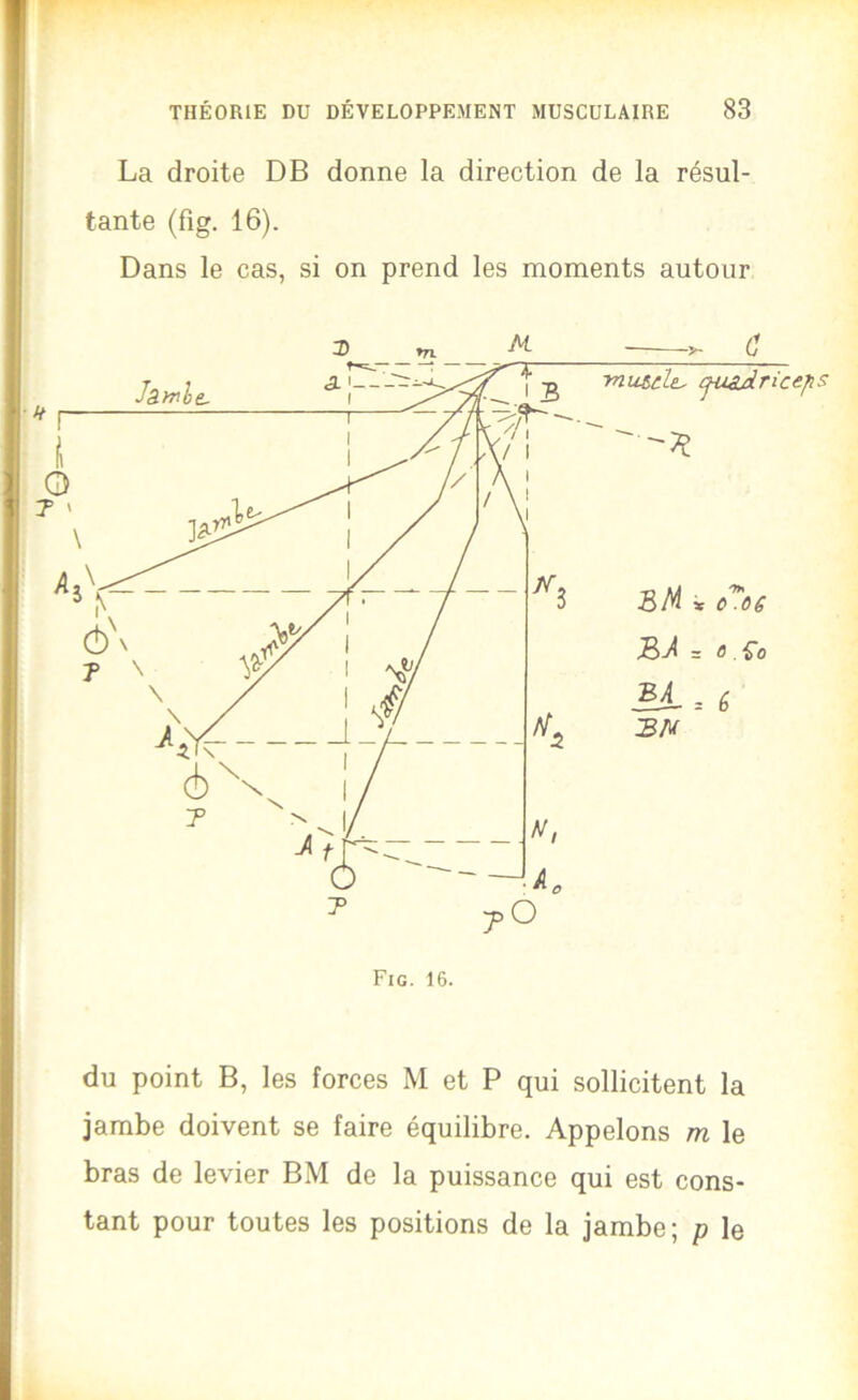 La droite DB donne la direction de la résul- tante (fig. 16). Dans le cas, si on prend les moments autour du point B, les forces M et P qui sollicitent la jambe doivent se faire équilibre. Appelons m le bras de levier BM de la puissance qui est cons- tant pour toutes les positions de la jambe; p le