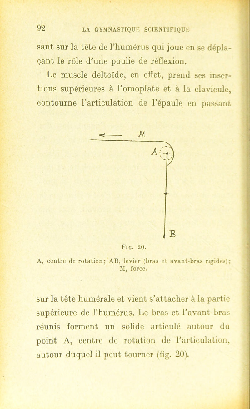 sant sur la tête de rhumérus qui joue en se dépla- çant le rôle d’une poulie de réflexion. Le muscle deltoïde, en effet, prend ses inser- tions supérieures à l’omoplate et à la clavicule, contourne l’articulation de l’épaule en passant M. A, centre de rotation; AB, levier (bras et avant-bras rigides); M, force. sur la tête humérale et vient s’attacher à la partie supérieure de l’humérus. Le bras et l’avant-bras réunis forment un solide articulé autour du point A, centre de rotation de l’articulation, autour duquel il peut tourner (fig. 20).