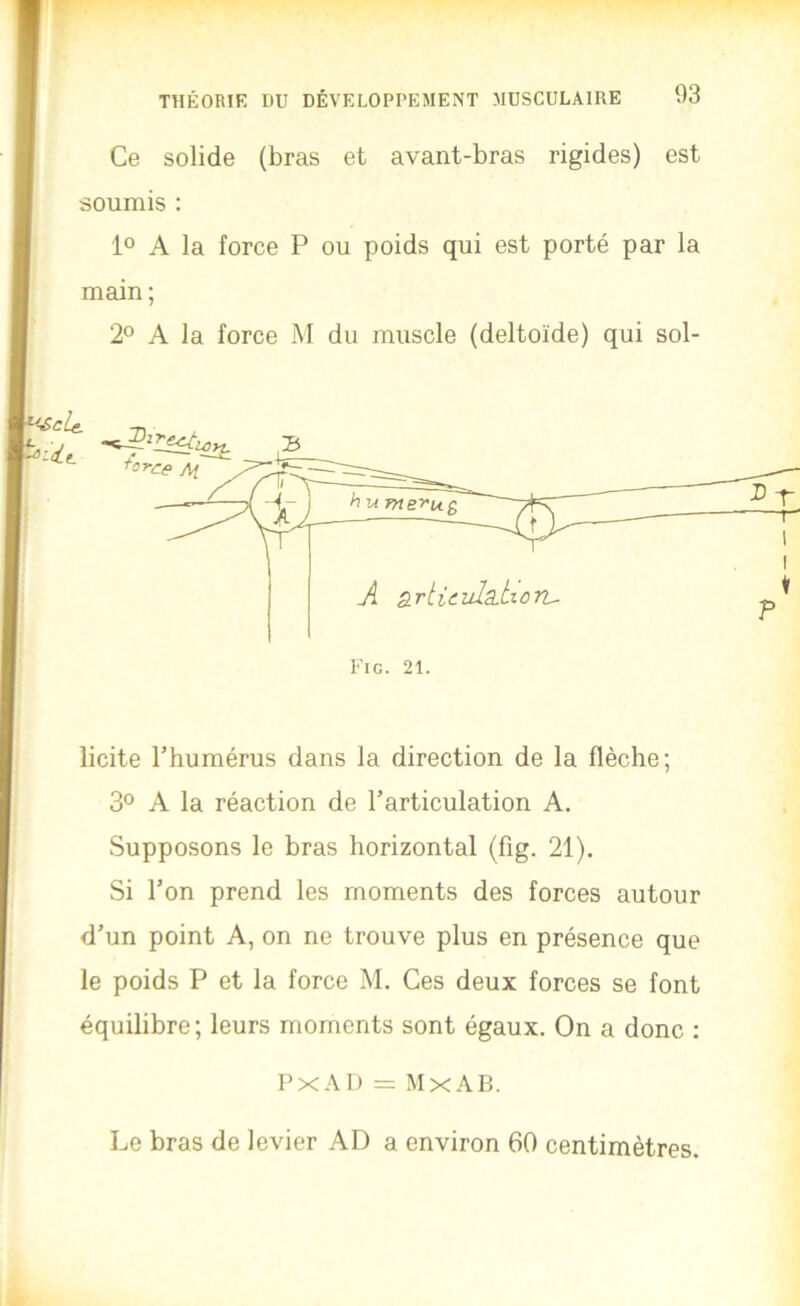 Ce solide (bras et avant-bras rigides) est soumis : 1° A la force P ou poids qui est porté par la main; 2° A la force M du muscle (deltoïde) qui sol- licite l’humérus dans la direction de la flèche; 3° A la réaction de l’articulation A. Supposons le bras horizontal (fig. 21). Si l’on prend les moments des forces autour d’un point A, on ne trouve plus en présence que le poids P et la force M. Ces deux forces se font équilibre; leurs moments sont égaux. On a donc ; PXAD = MX AB. Le bras de levier AD a environ 60 centimètres.