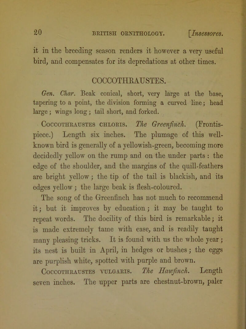 it in the breeding season renders it however a very useful bird, and compensates for its depredations at other times. COCCOTHRAUSTES. Gen. Char. Beak conical, short, very large at the base, tapering to a point, the division forming a curved line; head large ; wings long; tail short, and forked. Coccothraustes chloris. The Greenfinch. (Frontis- piece.) Length six inches. The plumage of this well- known bird is generally of a yellowish-green, becoming more decidedly yellow on the rump and on the under parts : the edge of the shoulder, and the margins of the quill-feathers are bright yellow; the tip of the tail is blackish, and its edges yellow ; the large beak is flesh-coloured. The song of the Greenfinch has not much to recommend it; but it improves by education; it may be taught to repeat words. The docility of this bird is remarkable; it is made extremely tame with ease, and is readily taught many pleasing tricks. It is found with us the whole year; its nest is built in April, in hedges or bushes; the eggs are purplish white, spotted with purple and brown. Coccothraustes vulgaris. The Hawfinch. Length seven inches. The upper parts are chestnut-brown, paler