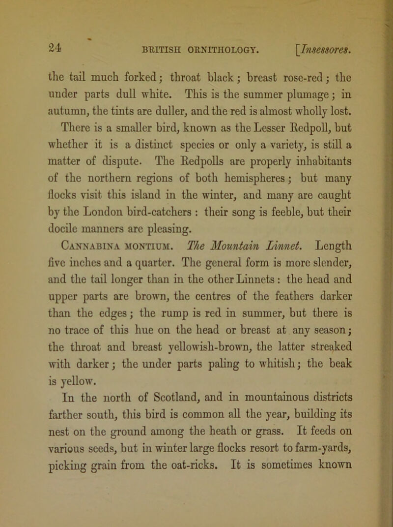 the tail much forked; throat black; breast rose-red; the under parts dull white. This is the summer plumage; in autumn, the tints are duller, and the red is almost wholly lost. There is a smaller bird, known as the Lesser Redpoll, but whether it is a distinct species or only a variety, is still a matter of dispute. The Redpolls are properly inhabitants of the northern regions of both hemispheres; but many flocks visit this island in the winter, and many are caught by the London bird-catchers : their song is feeble, but their docile manners are pleasing. Cannabina montiuji. The Mountain Linnet. Length five inches and a quarter. The general form is more slender, and the tail longer than in the other Linnets: the head and upper parts are brown, the centres of the feathers darker than the edges; the rump is red in summer, but there is no trace of this hue on the head or breast at any season; the throat and breast yellowish-brown, the latter streaked with darker; the under parts paling to whitish; the beak is yellow. In the north of Scotland, and in mountainous districts farther south, tliis bird is common all the year, building its nest on the ground among the heath or grass. It feeds on various seeds, but in winter large flocks resort to farm-yards, picking grain from the oat-ricks. It is sometimes known