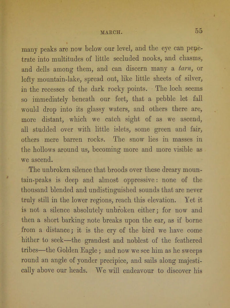 many peaks are now below our level, and the eye can pene- trate into multitudes of little secluded nooks, and chasms, and dells among them, and can discern many a tarn, or lofty mountain-lake, spread out, like little sheets of silver, in the recesses of the dark rocky points. The loch seems so immediately beneath our feet, that a pebble let fall would drop into its glassy waters, and others there are, more distant, which we catch sight of as we ascend, all studded over with little islets, some green and fair, others mere barren rocks. The snow lies in masses in the hollows around us, becoming more and more visible as we ascend. The unbroken silence that broods over these dreary moun- tain-peaks is deep and almost oppressive: none of the thousand blended and undistinguished sounds that are never truly still in the lower regions, reach this elevation. Yet it is not a silence absolutely unbroken either; for now and then a short barking note breaks upon the ear, as if borne from a distance.; it is the cry of the bird we have come hither to seek—the grandest and noblest of the feathered tribes—the Golden Eagle; and now we see him as he sweeps round an angle of yonder precipice, and sails along majesti- cally above our heads. We will endeavour to discover his