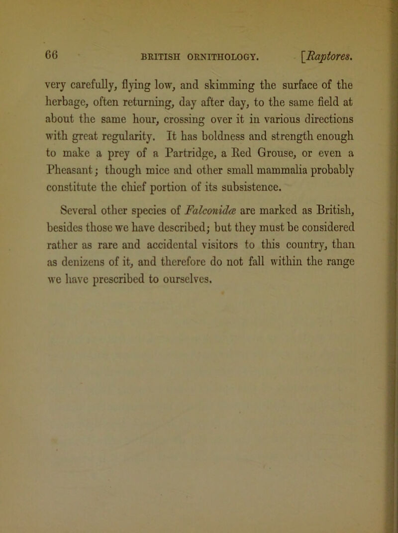 very carefully, flying low, and skimming the surface of the herbage, often returning, day after day, to the same field at about the same hour, crossing over it in various directions with great regularity. It has boldness and strength enough to make a prey of a Partridge, a Red Grouse, or even a Pheasant; though mice and other small mammalia probably constitute the chief portion of its subsistence. Several other species of Falconidce are marked as British, besides those we have described; but they must be considered rather as rare and accidental visitors to this country, than as denizens of it, and therefore do not fall within the range we have prescribed to ourselves.