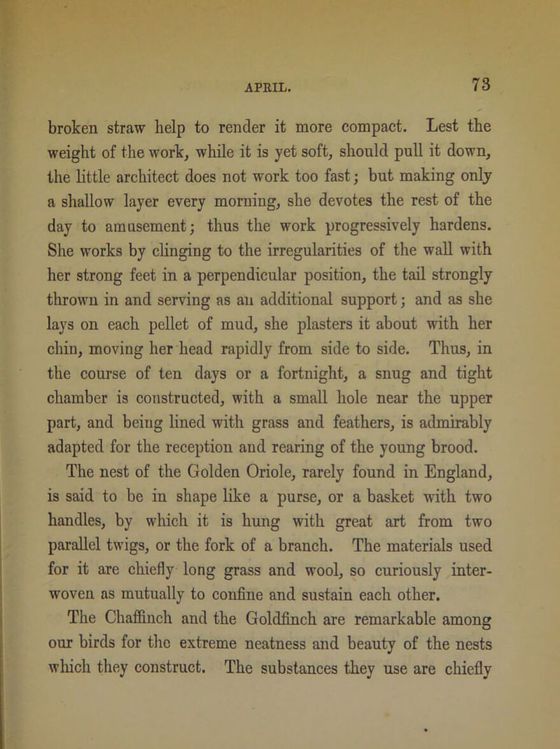 broken straw help to render it more compact. Lest the weight of the work, while it is yet soft, should pull it down, the little architect does not work too fast; but making only a shallow layer every morning, she devotes the rest of the day to amusement; thus the work progressively hardens. She works by clinging to the irregularities of the wall with her strong feet in a perpendicular position, the tail strongly thrown in and serving as an additional support; and as she lays on each pellet of mud, she plasters it about with her chin, moving her head rapidly from side to side. Thus, in the course of ten days or a fortnight, a snug and tight chamber is constructed, with a small hole near the upper part, and being lined with grass and feathers, is admirably adapted for the reception and rearing of the young brood. The nest of the Golden Oriole, rarely found in England, is said to be in shape like a purse, or a basket with two handles, by which it is hung with great art from two parallel twigs, or the fork of a branch. The materials used for it are chiefly long grass and wool, so curiously inter- woven as mutually to confine and sustain each other. The Chaffinch and the Goldfinch are remarkable among our birds for the extreme neatness and beauty of the nests which they construct. The substances they use are chiefly