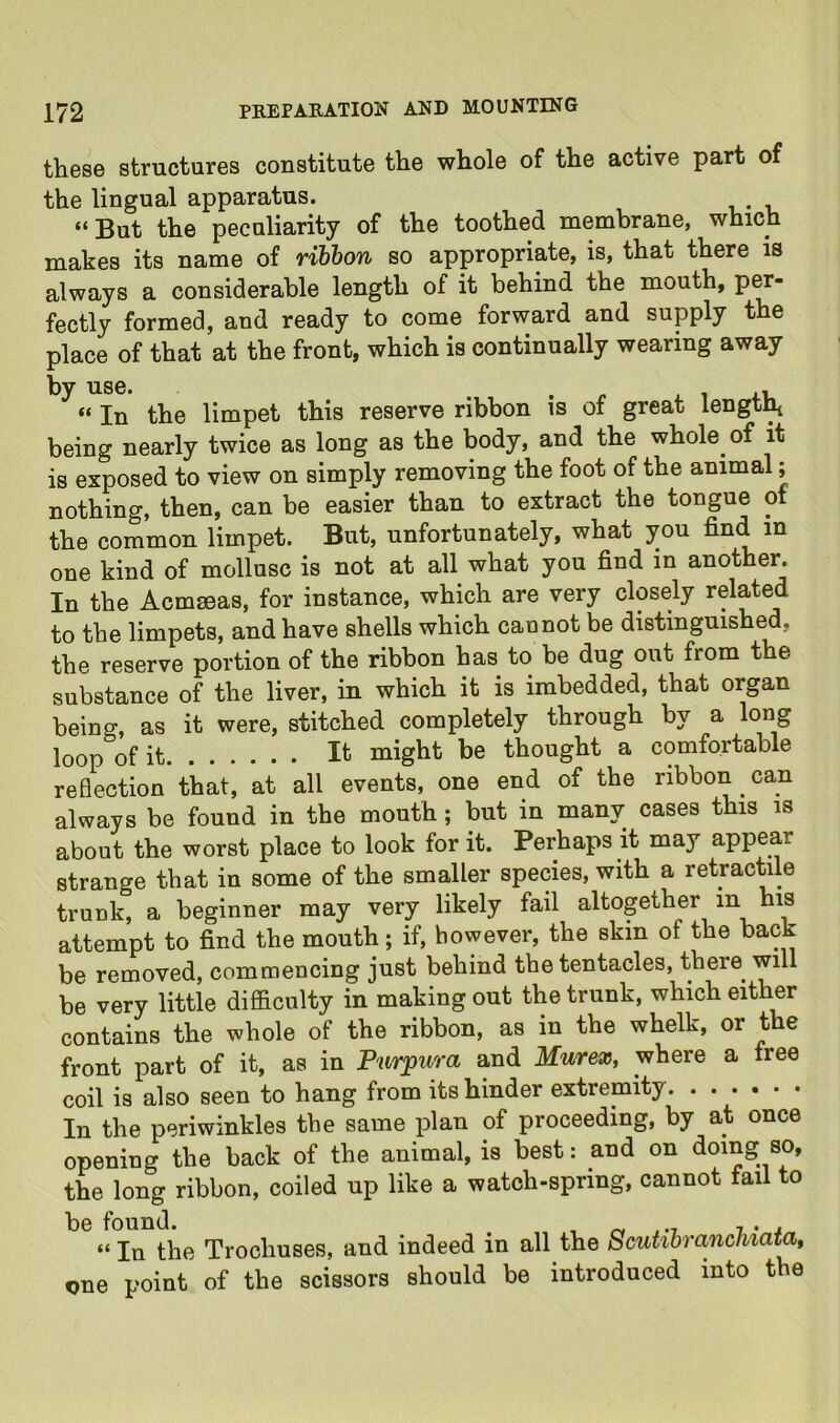 these structures constitute the whole of the active part of the lingual apparatus. “But the peculiarity of the toothed membrane, which makes its name of riblon so appropriate, is, that there is always a considerable length of it behind the mouth, pw- fectly formed, and ready to come forward and supply the place of that at the front, which is continually wearing away by use. . . r i. i u. “ In the limpet this reserve ribbon is of great lengt^ being nearly twice as long as the body, and the whole of it is exposed to view on simply removing the foot of the animal; nothing, then, can be easier than to extract the tongue of the common limpet. But, unfortunately, what you find in one kind of mollusc is not at all what you find in another. In the Acmseas, for instance, which are very closely related to the limpets, and have shells which caunot be distinguished, the reserve portion of the ribbon has to be dug out from the substance of the liver, in which it is imbedded, that organ being, as it were, stitched completely through by a long loop of it It might be thought a comfortable reflection that, at all events, one end of the ribbon can always be found in the mouth; but in many cases this is about the worst place to look for it. Perhaps it may appear strange that in some of the smaller species, with a retracme trunk, a beginner may very likely fail altopther in his attempt to find the mouth; if, however, the skin of the back be removed, commencing just behind the tentacles, there will be very little difficulty in making out the trunk, which either contains the whole of the ribbon, as in the whelk, or the front part of it, as in Purpura and Murex, where a free coil is also seen to hang from its hinder extremity In the periwinkles the same plan of proceeding, by at once opening the back of the animal, is best: and on doing so, the long ribbon, coiled up like a watch-spring, cannot fail to “ In the Trochuses, and indeed in all the Scutihrancliiatat one point of the scissors should be introduced into the