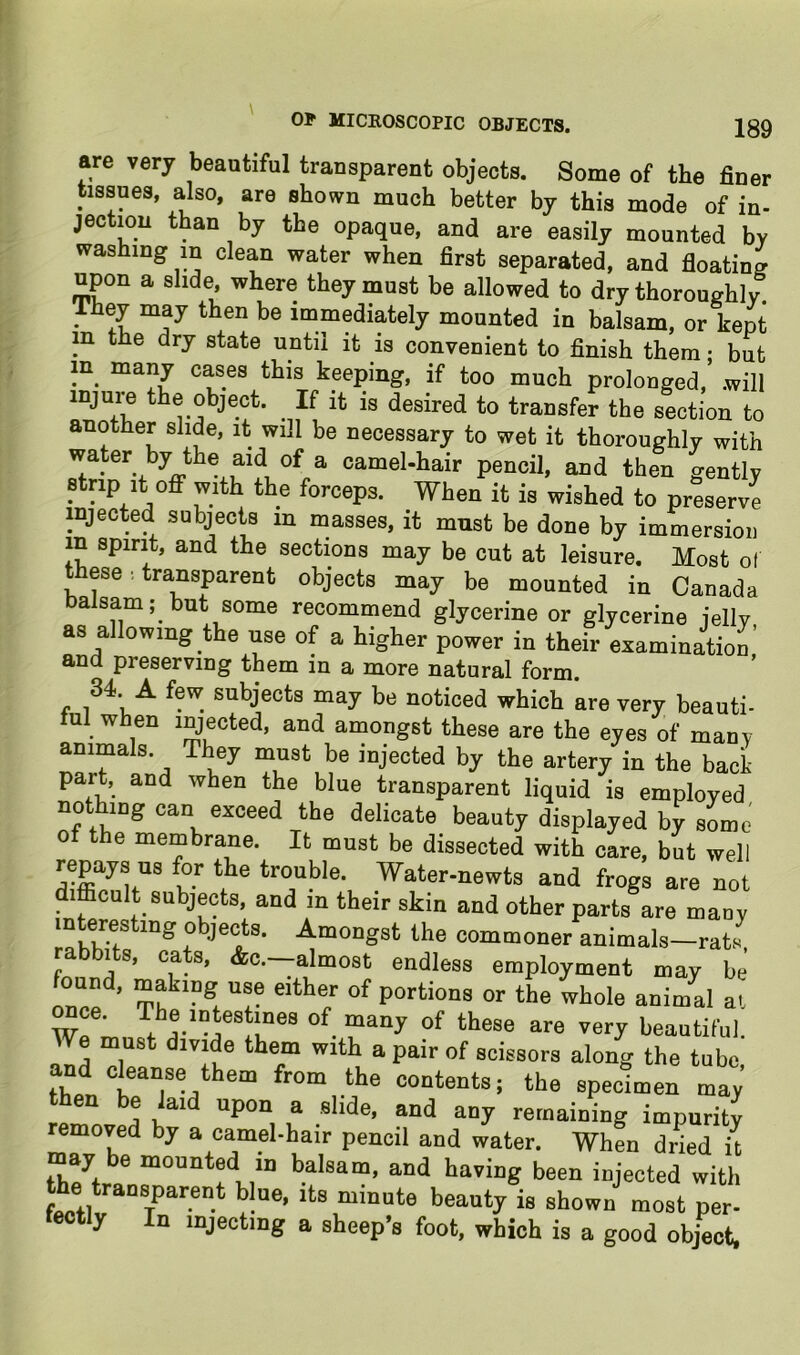 are very beautiful transparent objects. Some of the finer tissues, also, are shown much better by this mode of in- jection than by the opaque, and are easily mounted by washing in clean water when first separated, and floating upon a slide, where they must be allowed to dry thoroughly. They may then be immediately mounted in balsam, or kept m the dry state until it is convenient to finish them; but in many cases this keeping, if too much prolonged, .will injure the object. If it is desired to transfer the section to another slide, it will be necessary to wet it thoroughly with water by the aid of a camel-hair pencil, and then gently strip It off with the forceps. When it is wished to preserve injected subjects in masses, it must be done by immersion in spirit, and the sections may be cut at leisure. Most of these •, transparent objects may be mounted in Canada balsam; but some recommend glycerine or glycerine jelly as allowing the use of a higher power in their examination’ and preserving them in a more natural form. 34 A few subjects may be noticed which ‘are very beauti- tnl when injected, and amongst these are the eyes of manv animals They must be injected by the artery in the baci part, and when the blue transparent liquid is employed nothing can exceed the delicate beauty displayed by some of the membrane. It must be dissected with care, but well replays ns for the trouble. Water-newts and frogs are not ifficult subjects, and in their skin and other parts are many interesting objects. Amongst the commoner animals-rats rabbits, cats, &c.—almost endless employment may be’ portions or the whole animal at w The intestines of many of these are very beautiful We must divide them with a pair of scissors along the tube and cleanse them from the contents; the specimen may then be laid upon a slide, and any remaining impurity removed by a camel-hair pencil and water. When dried it may be mounted in balsam, and having been injected with the transparent blue, its minute beauty is shown most per- lectly In injecting a sheep’s foot, which is a good obj’ect.