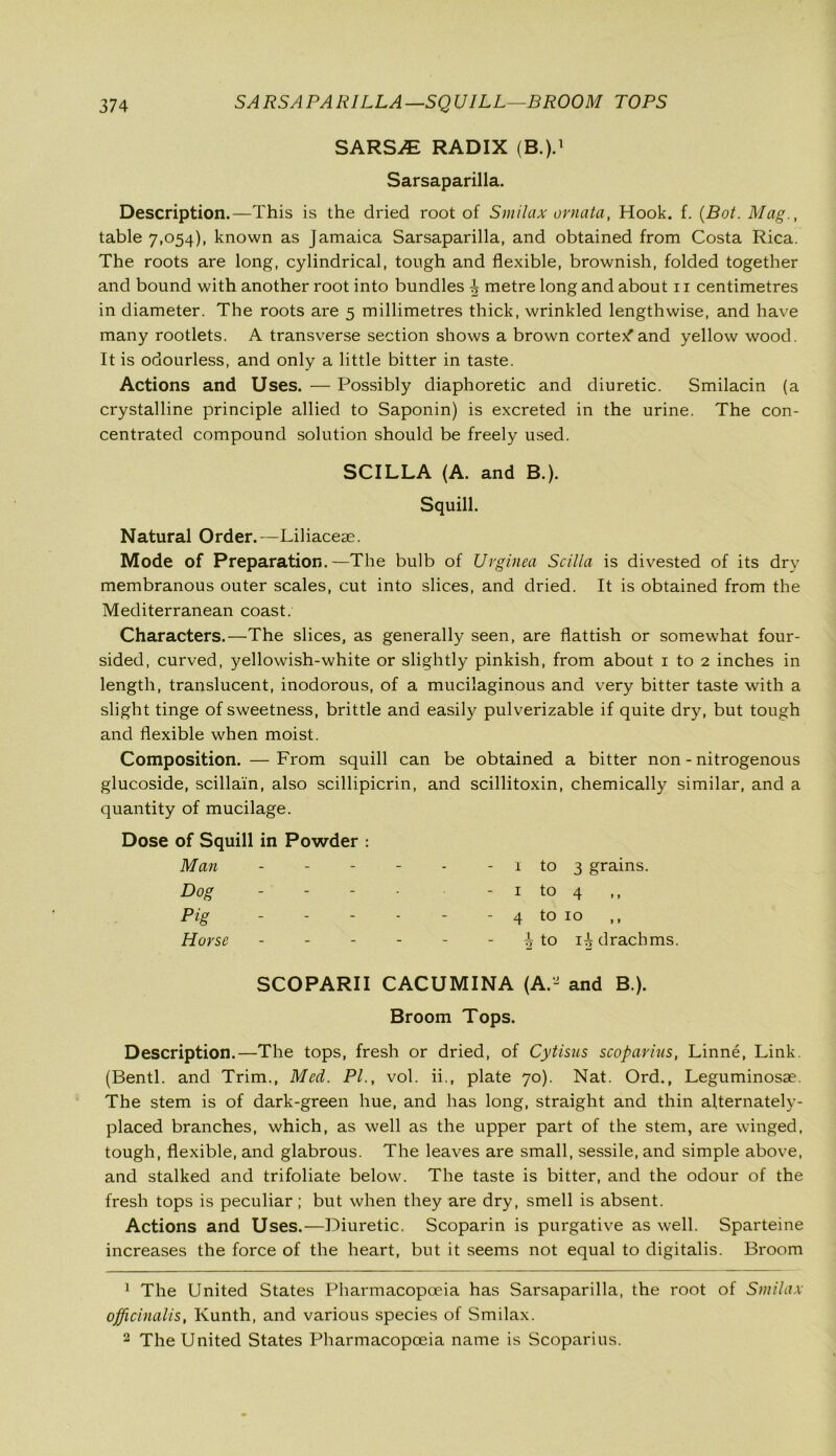 SARSJE RADIX (B.).1 Sarsaparilla. Description.—This is the dried root of Smilax ornata, Hook. f. (Bot. Mag., table 7,054), known as Jamaica Sarsaparilla, and obtained from Costa Rica. The roots are long, cylindrical, tough and flexible, brownish, folded together and bound with another root into bundles ^ metre long and about 11 centimetres in diameter. The roots are 5 millimetres thick, wrinkled lengthwise, and have many rootlets. A transverse section shows a brown cortex'and yellow wood. It is odourless, and only a little bitter in taste. Actions and Uses. — Possibly diaphoretic and diuretic. Smilacin (a crystalline principle allied to Saponin) is excreted in the urine. The con- centrated compound solution should be freely used. SCILLA (A. and B.). Squill. Natural Order.—Liliaceae. Mode of Preparation.—The bulb of Urginea Scilla is divested of its dry membranous outer scales, cut into slices, and dried. It is obtained from the Mediterranean coast. Characters.—The slices, as generally seen, are flattish or somewhat four- sided, curved, yellowish-white or slightly pinkish, from about 1 to 2 inches in length, translucent, inodorous, of a mucilaginous and very bitter taste with a slight tinge of sweetness, brittle and easily pulverizable if quite dry, but tough and flexible when moist. Composition. — From squill can be obtained a bitter non - nitrogenous glucoside, scillain, also scillipicrin, and scillitoxin, chemically similar, and a quantity of mucilage. Dose of Squill in Powder : Man - Dog Pig Horse 1 to 3 grains. 1 to 4 ,, 4 to 10 ,, h to 1^ drachms. SCOPARII CACUMINA (A.2 and B.). Broom Tops. Description.—The tops, fresh or dried, of Cytisus scoparins, Linne, Link. (Bentl. and Trim., Med. PL, vol. ii., plate 70). Nat. Ord., Leguminosae. The stem is of dark-green hue, and has long, straight and thin alternately- placed branches, which, as well as the upper part of the stem, are winged, tough, flexible, and glabrous. The leaves are small, sessile, and simple above, and stalked and trifoliate below. The taste is bitter, and the odour of the fresh tops is peculiar ; but when they are dry, smell is absent. Actions and Uses.—Diuretic. Scoparin is purgative as well. Sparteine increases the force of the heart, but it seems not equal to digitalis. Broom 1 The United States Pharmacopoeia has Sarsaparilla, the root of Smilax officinalis, Kunth, and various species of Smilax. 2 The United States Pharmacopoeia name is Scoparius.