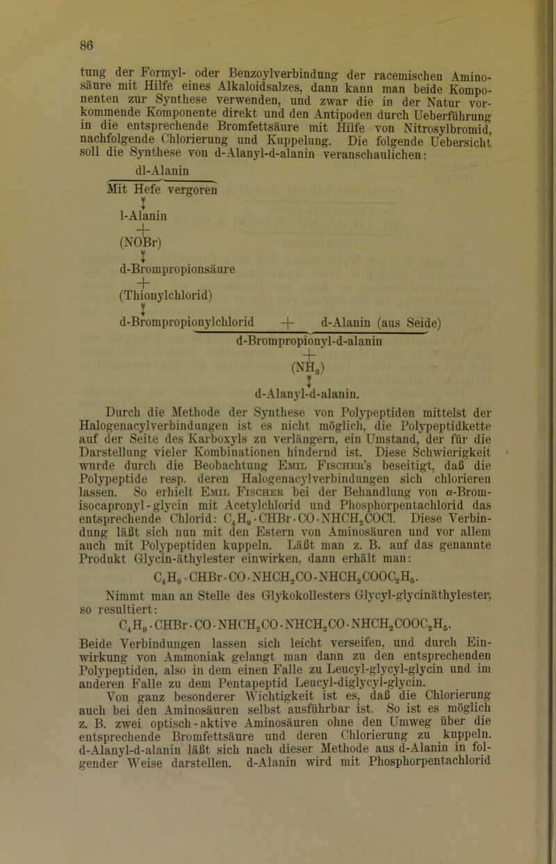 tung der Formyl- oder Benzoylverbindung der racemischen Amino- säure mit Hilfe eines Alkaloidsalzes, dann kann man beide Kompo- nenten zur Synthese verwenden, und zwar die in der Natur vor- kommende Komponente direkt und den Antipoden durch Ueberführung in die entsprechende Bromfettsäure mit Hille von Nitrosylbromid nachfolgende Chlorierung und Kuppelung. Die folgende Uebersicht soll die Synthese von d-Alanyl-d-alanin veranschaulichen: dl-Alanin Mit Hefe vergoren I 1-Alanin + (NOBr) I d-Brorapropionsäure + (Thionylchlorid) I d-Brompropionylchlorid -|- d-Alanin (aus Seide) d-Brompropionyl-d-alanin + (NH3) t d-Alanjd-d-alanin. Durch die Methode der Synthese von Polypeptiden mittelst der Halogenacylverbindungeii ist es nicht möglich, die Polypeptidkette auf der Seite des Karboxyls zu verlängern, ein Umstand, der für die Darstellung vieler Kombinationen hindernd ist. Diese Schwierigkeit wurde durch die Beobachtung Emil Fischer’s beseitigt, daß die Polypeptide resp. deren Halogenacylverbindungen sich chlorieren lassen. So erhielt Emil Fischer bei der Behandlung von a-Brom- isocapronyl - glycin mit Acetylchlorid und Phosphorpentachlorid das entsprechende Chlorid: C^H„•CHBr-CO-NHCH2COCl. Diese Verbin- dung läßt sich nun mit den Estern von Aminosäuren und vor allem auch mit Pol3'peptiden kuppeln. Läßt man z. B. auf das genannte Produkt Glycin-äthylester einwirken, dann erhält man: CiH„. CHBr • CO • NHCH^CO • NHCH2COOC2H5. Nimmt man an Stelle des GlykokoUesters Glycyl-glycinäthylester, so resultiert: C^H» • CHBr. CO • NHCH2CO • NHCH2CO • NHCH2COOC2H3. Beide Verbindungen lassen sich leicht verseifen, und durch Ein- wirkung von Ammoniak gelangt man dann zu den entsprechenden Polypeptiden, also in dem einen Falle zu Leucyl-glycyl-glycin und im anderen Falle zu dem Pentapeptid Leucyl-diglycyl-glycin. Von ganz besonderer Wichtigkeit ist es, daß die Chlorierung auch bei den Aminosäuren selbst ausführbar ist. So ist es möglich z. B. zwei optisch - aktive Aminosäuren ohne den Umweg über die entsprechende Bromfettsäure und deren Chlorierung zu kuppeln. d-Alanyl-d-alanin läßt sich nach dieser Methode aus d-Alanin in fol- gender Weise darstellen. d-Alanin wird mit Phosphorpentachlorid
