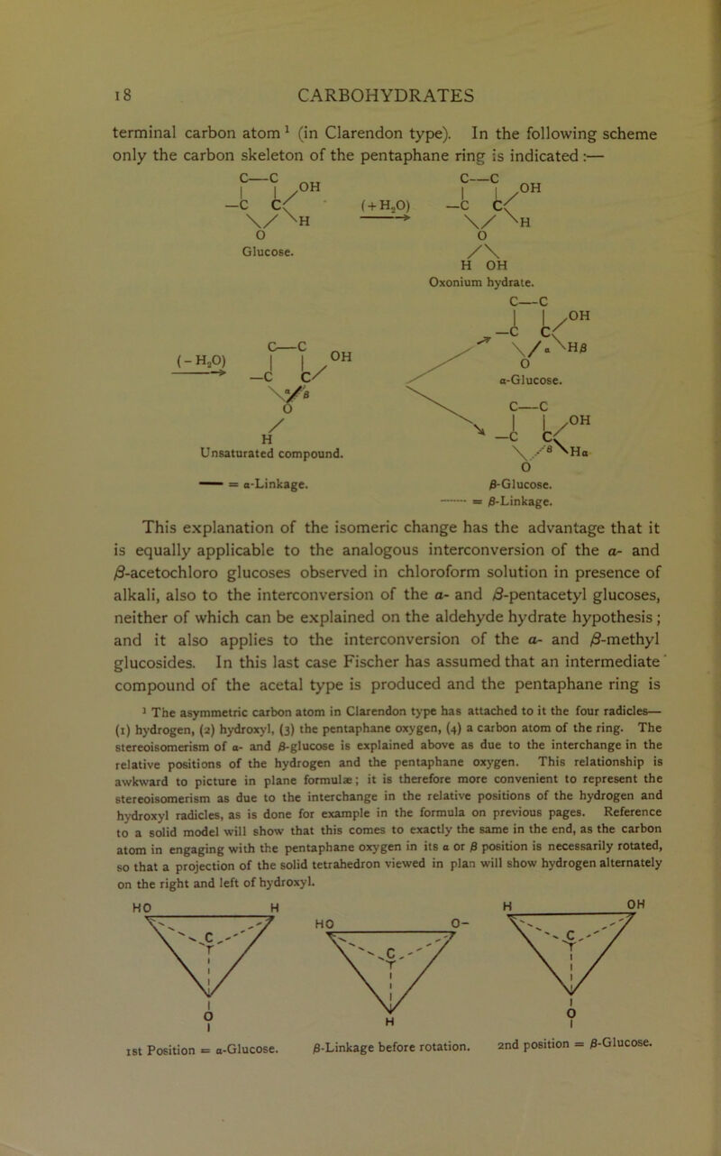 terminal carbon atom 1 (in Clarendon type). In the following scheme only the carbon skeleton of the pentaphane ring is indicated :— C—C -fc \/N o Glucose. OH H (-HaO) > c—c I I / —C C/ OH O / H Unsaturated compound. = a-Linkage. OH This explanation of the isomeric change has the advantage that it is equally applicable to the analogous interconversion of the a- and /3-acetochloro glucoses observed in chloroform solution in presence of alkali, also to the interconversion of the a- and /3-pentacetyl glucoses, neither of which can be explained on the aldehyde hydrate hypothesis; and it also applies to the interconversion of the a- and /8-methyl glucosides. In this last case Fischer has assumed that an intermediate compound of the acetal type is produced and the pentaphane ring is 1 The asymmetric carbon atom in Clarendon type has attached to it the four radicles— (i) hydrogen, (2) hydroxyl, (3) the pentaphane oxygen, (4) a carbon atom of the ring. The stereoisomerism of a- and /S-glucose is explained above as due to the interchange in the relative positions of the hydrogen and the pentaphane oxygen. This relationship is awkward to picture in plane formulae; it is therefore more convenient to represent the stereoisomerism as due to the interchange in the relative positions of the hydrogen and hydroxyl radicles, as is done for example in the formula on previous pages. Reference to a solid model will show that this comes to exactly the same in the end, as the carbon atom in engaging with the pentaphane oxygen in its a or 0 position is necessarily rotated, so that a projection of the solid tetrahedron viewed in plan will show hydrogen alternately on the right and left of hydroxyl.