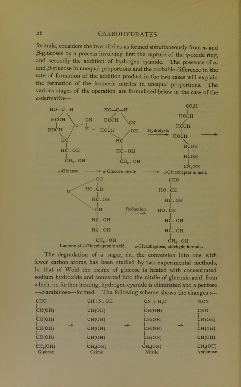 formula, considers the two nitriles as formed simultaneously from a- and /3-glucoses by a process involving first the rupture of the iy*oxide ring, and secondly the addition of hydrogen cyanide. The presence of a- and /9-glucose in unequal proportions and the probable difference in the rate of formation of the addition product in the two cases will explain the formation of the isomeric nitriles in unequal proportions. The various stages of the operation are formulated below in the case of the a-derivative— HO—C—H / \ HCOH \ CN I )0+J HOCH / \ / HC HO—C—H H = HC . OH OH a-Glucose - 1 V- . C/i CH,. Hi. diH,. OH OH -> a-Glucose nitrile HOCH / HCOH Hydrolysis * HOCH Reduction —» Hi. OH I \ HCOH h!:oh ch3oh -> a-Glucoheptonic acid. CHO HO. CH Hi. OH HO. CH Hi . OH Hi . OH I CHa. OH Lactone of a-Glucoheptonic acid. o-Glucoheptose, aldehyde formula. CHa. OH The degradation of a sugar, i.e., the conversion into one with fewer carbon atoms, has been studied by two experimental methods. In that of Wohl the oxime of glucose is heated with concentrated sodium hydroxide and converted into the nitrile of gluconic acid, from which, on further heating, hydrogen cyanide is eliminated and a pentose —r/-arabinose—formed. The following scheme shows the changes :— CHO CH:N.OH CN + HjO HCN CH(OH) CH(OH) | 'CH(OH) CHO CH(OH) | CH(OH) CH(OH) CH(OH) 1 CH(OH) 1 CH(OH) 1 CH(OH) 1 CH(OH) CH(OH) | CH(OH) CH(OH) | CH(OH) i CH2(OH) CHa(OH) CH3(OH) CHa(OH) Glucose Oxime Nitrile Arabinose