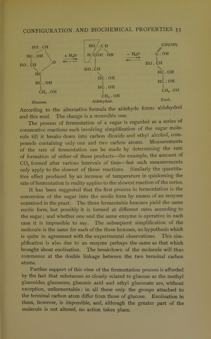 ho . CH HC hc . OH CHo . OH Glucose. + H„0 HO/.C H // \ h/coh oh HO. CH HC . OH HC . OH CH2. OH Aldehydrol. CH(OH) s - H„0 C . OH 5=^ I HO . CH \ HC . OH HC . OH CH2. OH Enol. According to the alternative formula the aldehyde forms aldehydrol and this enol. The change is a reversible one. The process of fermentation of a sugar is regarded as a series of consecutive reactions each involving simplification of the sugai mole- cule till it breaks down into carbon dioxide and ethyl alcohol, com- pounds containing only one and two carbon atoms. Measurements of the rate of fermentation can be made by determining the rate of formation of either of these products—for example, the amount of C02 formed after various intervals of time—but such measurements only apply to the slowest of these reactions. Similarly the quantita- tive effect produced by an increase of temperature in quickening the rate of fermentation in reality applies to the slowest reaction of the series. It has been suggested that the first process in fermentation is the conversion of the sugar into the enolic form by means of an enzyme contained in the yeast. The three fermentable hexoses yield the same enolic form, but possibly it is formed at different rates according to the sugar; and whether one and the same enzyme is operative in each case it is impossible to say. The subsequent simplification of the molecule is the same for each of the three hexoses, an hypothesis which is quite in agreement with the experimental observations. This sim- plification is also due to an enzyme perhaps the same as that which brought about enolisation. The breakdown of the molecule will thus commence at the double linkage between the two terminal carbon atoms. Further support of this view of the fermentation process is afforded by the fact that substances so closely related to glucose as the methyl glucosides, glucosone, gluconic acid and ethyl gluconate are, without exception, unfermentable : in all these only the groups attached to the terminal carbon atom differ from those of glucose. Enolisation in them, however, is impossible, and, although the greater part of the molecule is not altered, no action takes place.