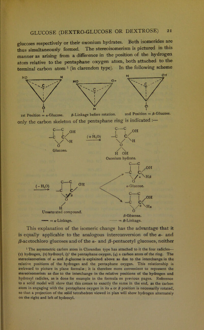 glucoses respectively or their oxonium hydrates. Both isomerides are thus simultaneously formed. The stereoisomerism is pictured in this manner as arising from a difference in the position of the hydrogen atom relative to the pentaphane oxygen atom, both attached to the terminal carbon atom 1 (in clarendon type). In the following scheme 1st Position = a-Glucose. /3-Linkage before rotation. 2nd Position — 0-Glucose, only the carbon skeleton of the pentaphane ring is indicated . C—c OH I 1/ —c c( \/\h o Glucose. ( + H.O) (-h20) > c—c —C c/ V/'a OH o / H Unsaturated compound. —— = o-Linkage. C C 4 i( \y xh O OH H OH Oxonium hydrate. C C 4 \ I /0H . / Nh* o a-Glucose C C I —c I OH c\ ••8 'Ho O /3-Glucose. = 0-Linkage. This explanation of the isomeric change has the advantage that it is equally applicable to the analogous interconversion of the a- and /3-acetochloro glucoses and of the a- and /3-pentacetyl glucoses, neither 1 The asymmetric carbon atom in Clarendon type has attached to it the four radicles— (1) hydrogen, (2) hydroxyl, (3' the pentaphane oxygen, (4) a carbon atom of the ring. The stereoisomerism of a- and 0-glucose is explained above as due to the interchange in the relative positions of the hydrogen and the pentaphane oxygen. This relationship is awkward to picture in plane formulae; it is therefore more convenient to represent the stereoisomerism as due to the interchange in the relative positions of the hydrogen and hydroxyl radicles, as is done for example in the formula on previous pages. Reference to a solid model will show that this comes to exactly the same in the end, as the carbon atom in engaging with the pentaphane oxygen in its a or 0 position is necessarily rotated, so that a projection of the solid tetrahedron viewed in plan will show hydrogen alternately on the right and left of hydroxyl.