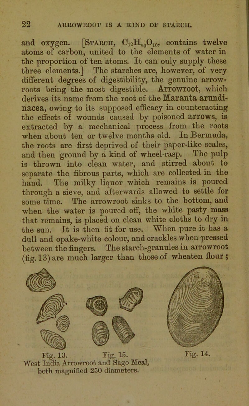 and oxygen. [Staech, Ci2H,oOio, contains twelve atoms of carbon, united to the elements of water in the proportion of ten atoms. It can only supply these three elements.] The starches are, however, of very diffei’ent degrees of digestibility, the genuine arrow- roots being the most digestible. Arrowroot, which derives its name from the root of the Maranta artmdi- nacea, owing to its supposed efficacy in counteracting the effects of wounds caused by poisoned arrows, is extracted by a mechanical process from the roots when about ten or twelve months old. lu Bermuda, the roots are first deprived of their paper-like scales, and then ground by a kind of wheel-rasp. The pulp is thrown into clean water, and stirred about to separate the fibrous parts, which are collected in the hand. The milky liquor which remains is poured through a sieve, and afterwards allowed to settle for some time. The arrowroot sinks to the bottom, and when the water is poured off, the white pasty mass that remains, is placed on clean white cloths to dry in the sun. It is then fit for use. When pure it has a dull and opake-white colour, and crackles when pressed between the fingers. The starch-granules in arrowroot (fig. 13) are much larger than those of wheaten flour; Fig. 13. Fig. 15. Fig. 14, West India Arrowroot and Sago Meal, both magnified 250 diameters.