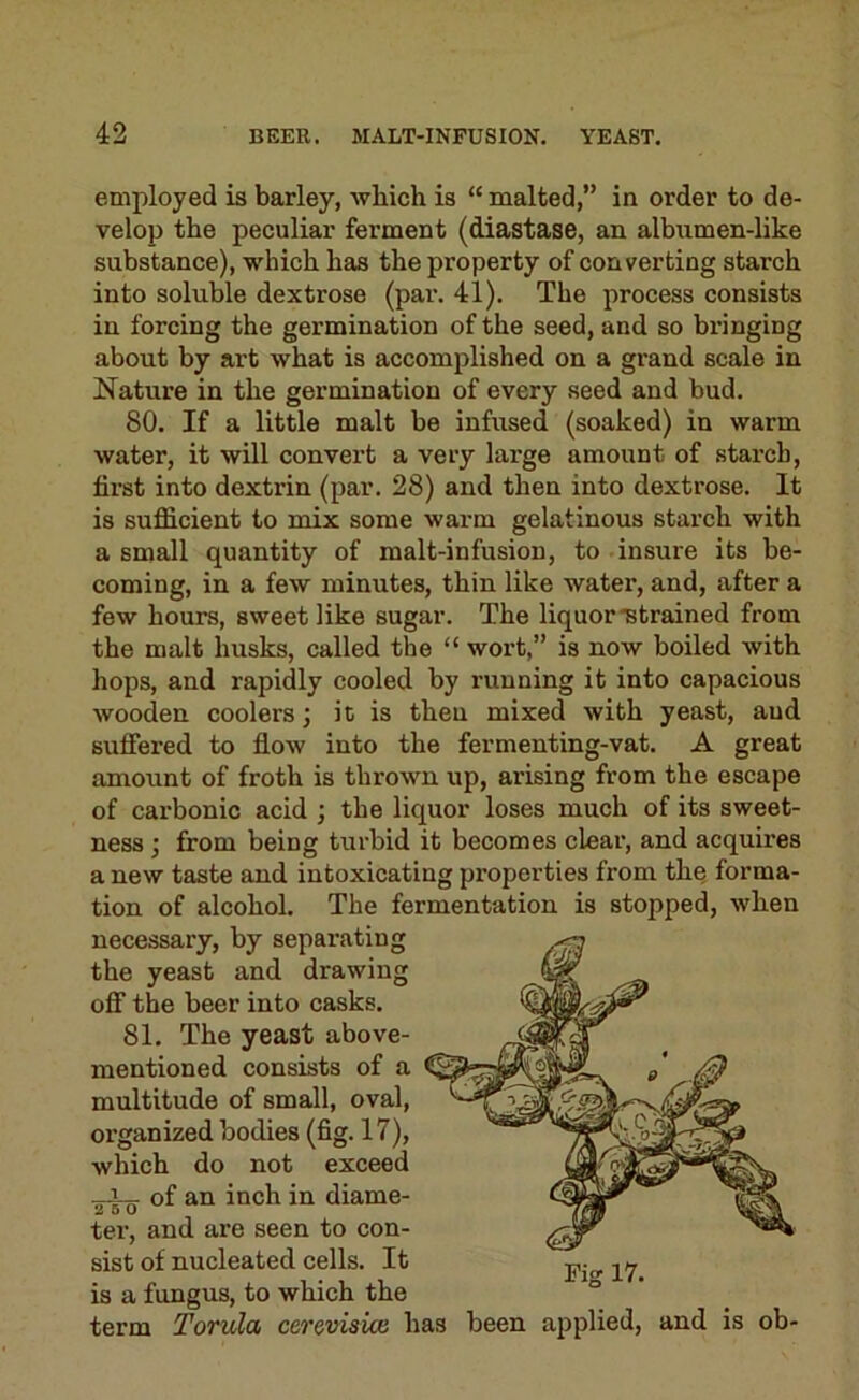 employed is barley, which is “ malted,” in order to de- velop the peculiar ferment (diastase, an albumen-like substance), which has the property of converting starch into soluble dextrose (par. 41). The process consists in forcing the germination of the seed, and so bringing about by art what is accomplished on a grand scale in Nature in the germination of every seed and bud. 80. If a little malt be infused (soaked) in warm water, it will convert a very large amount of starch, first into dextrin (par. 28) and then into dextrose. It is sufficient to mix some warm gelatinous starch with a small quantity of malt-infusion, to insure its be- coming, in a few minutes, thin like water, and, after a few hours, sweet like sugar. The liquor “Strained from the malt husks, called the “ wort,” is now boiled with hops, and rapidly cooled by running it into capacious wooden coolers; it is then mixed with yeast, aud suffered to flow into the fermenting-vat. A great amount of froth is thrown up, arising from the escape of carbonic acid ; the liquor loses much of its sweet- ness ; from being turbid it becomes clear, and acquires a new taste and intoxicating properties from the forma- tion of alcohol. The fermentation is stopped, when necessary, by separating the yeast and drawing off the beer into casks. 81. The yeast above- mentioned consists of a multitude of small, oval, organized bodies (fig. 17), which do not exceed of an inch in diame- ter, and are seen to con- sist of nucleated cells. It is a fungus, to which the term Torula cerevisice has been ajiplied, and is ob